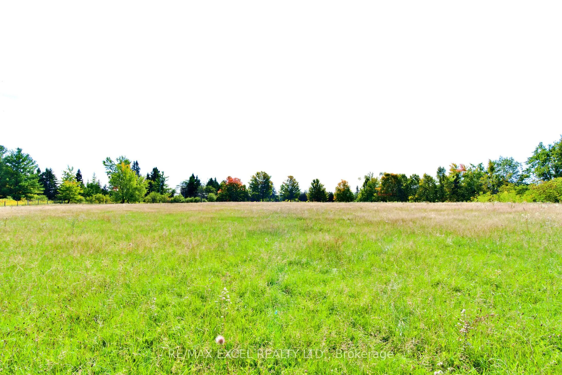 Photo 6 of 1745 Thorah Concession Rd 3, Brock, Beaverton — HOMEH