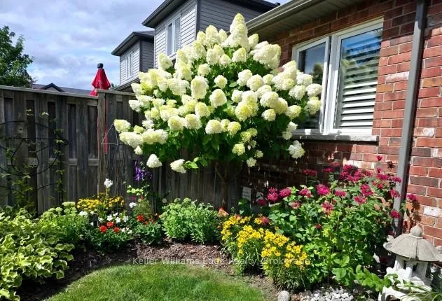 Photo 48 of Unit 24, 25 Annmoore Crescent N, Guelph, Pineridge/Westminster Woods — HOMEH
