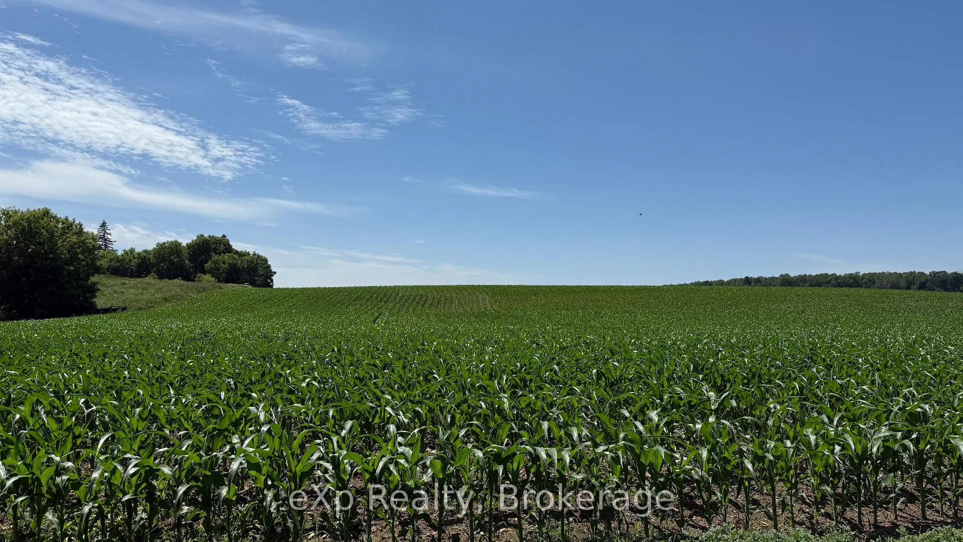 Photo 3 of PT LT 24 Concession A, Brockton — HOMEH