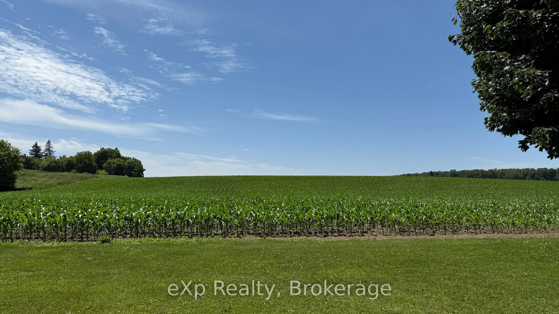 Photo 4 of PT LT 24 Concession A, Brockton — HOMEH