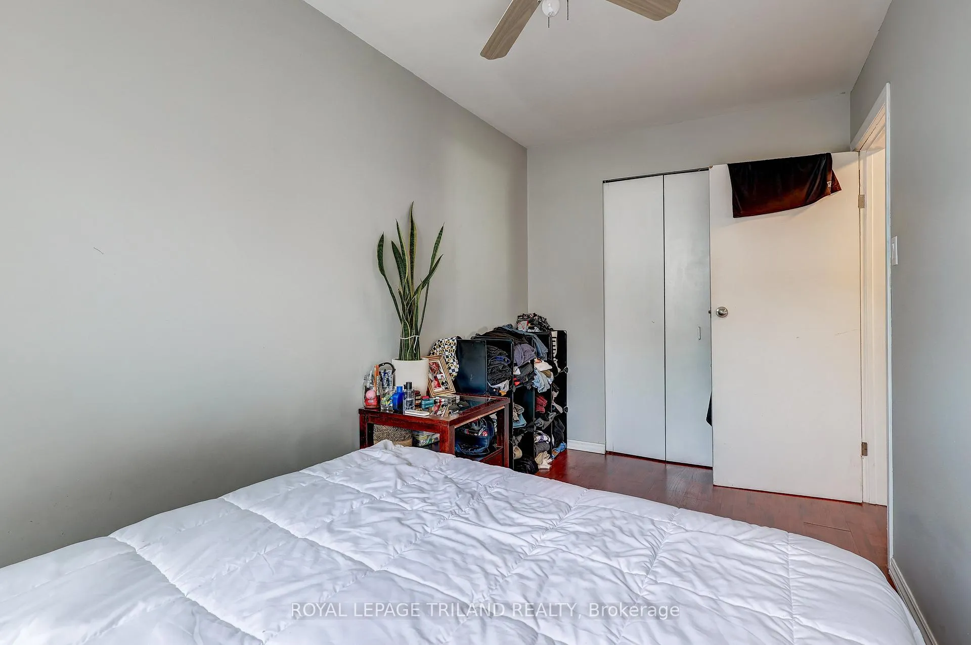 Photo 8 of 249 Victoria Street, Central Elgin, Belmont — HOMEH