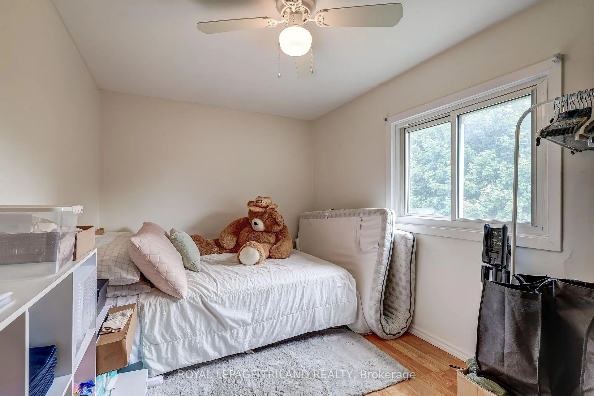 Photo 19 of 249 Victoria Street, Central Elgin, Belmont — HOMEH