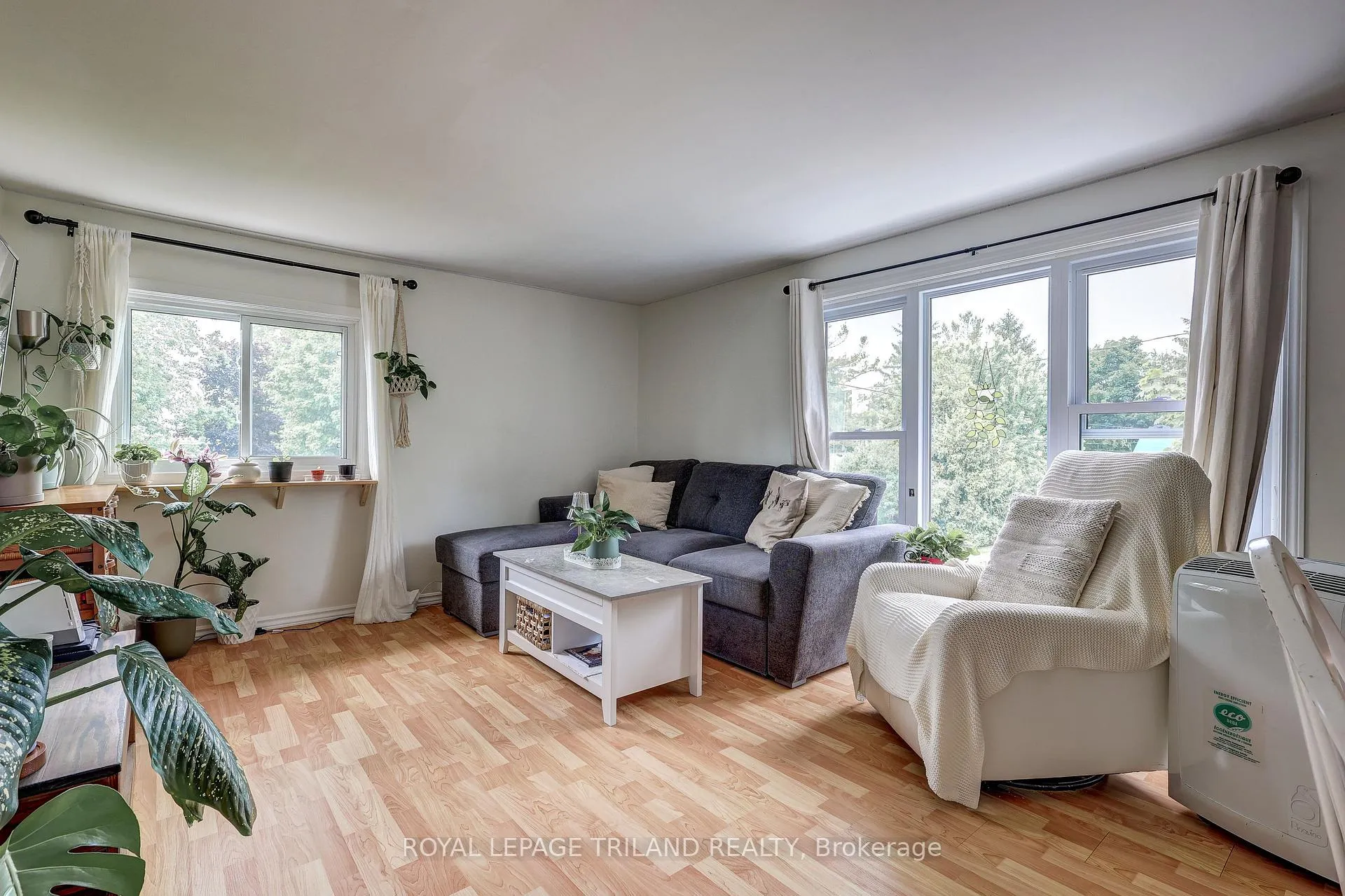 Photo 28 of 249 Victoria Street, Central Elgin, Belmont — HOMEH