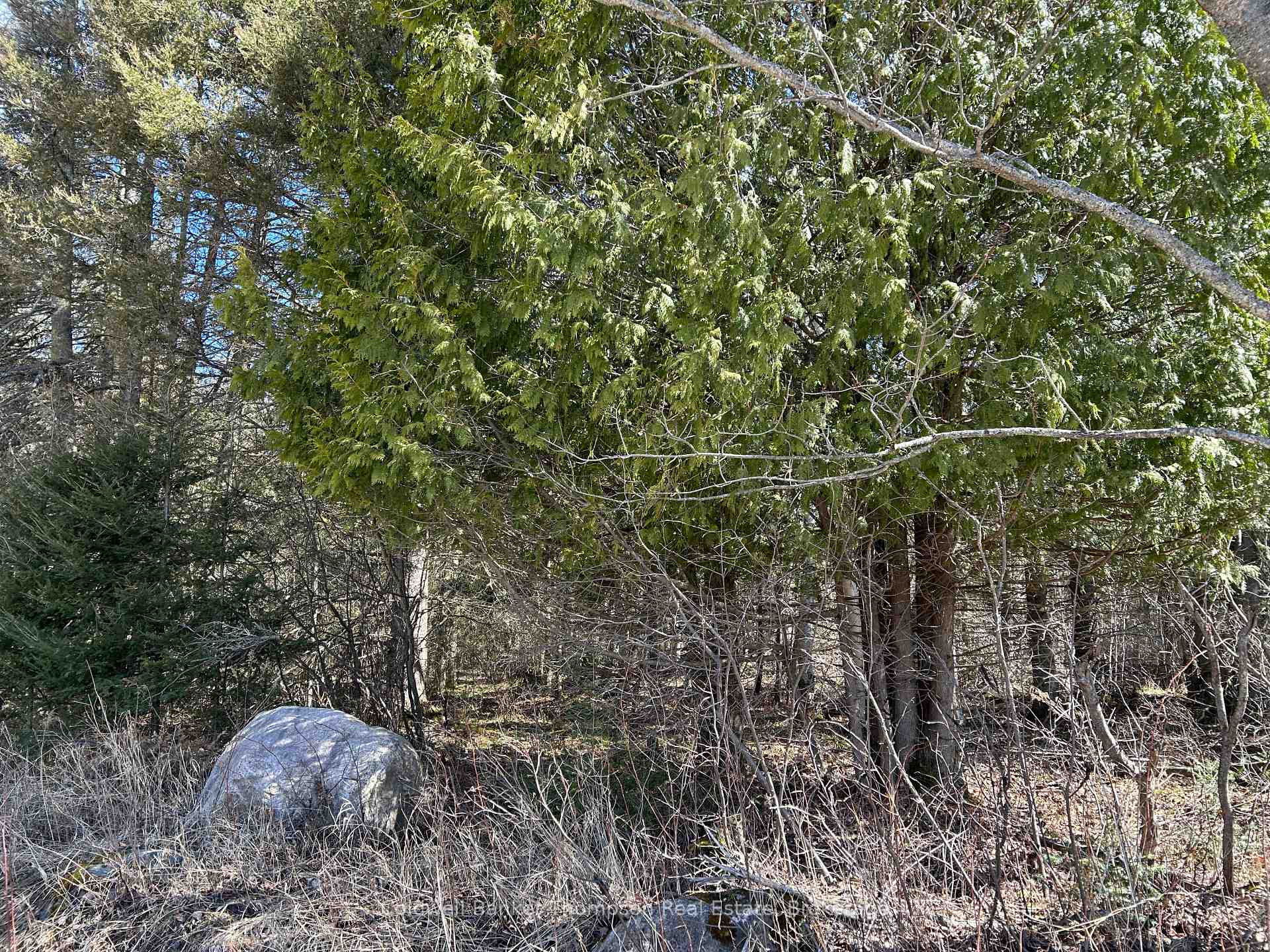 Front of Lot 21 Part 1 Golf Course Road