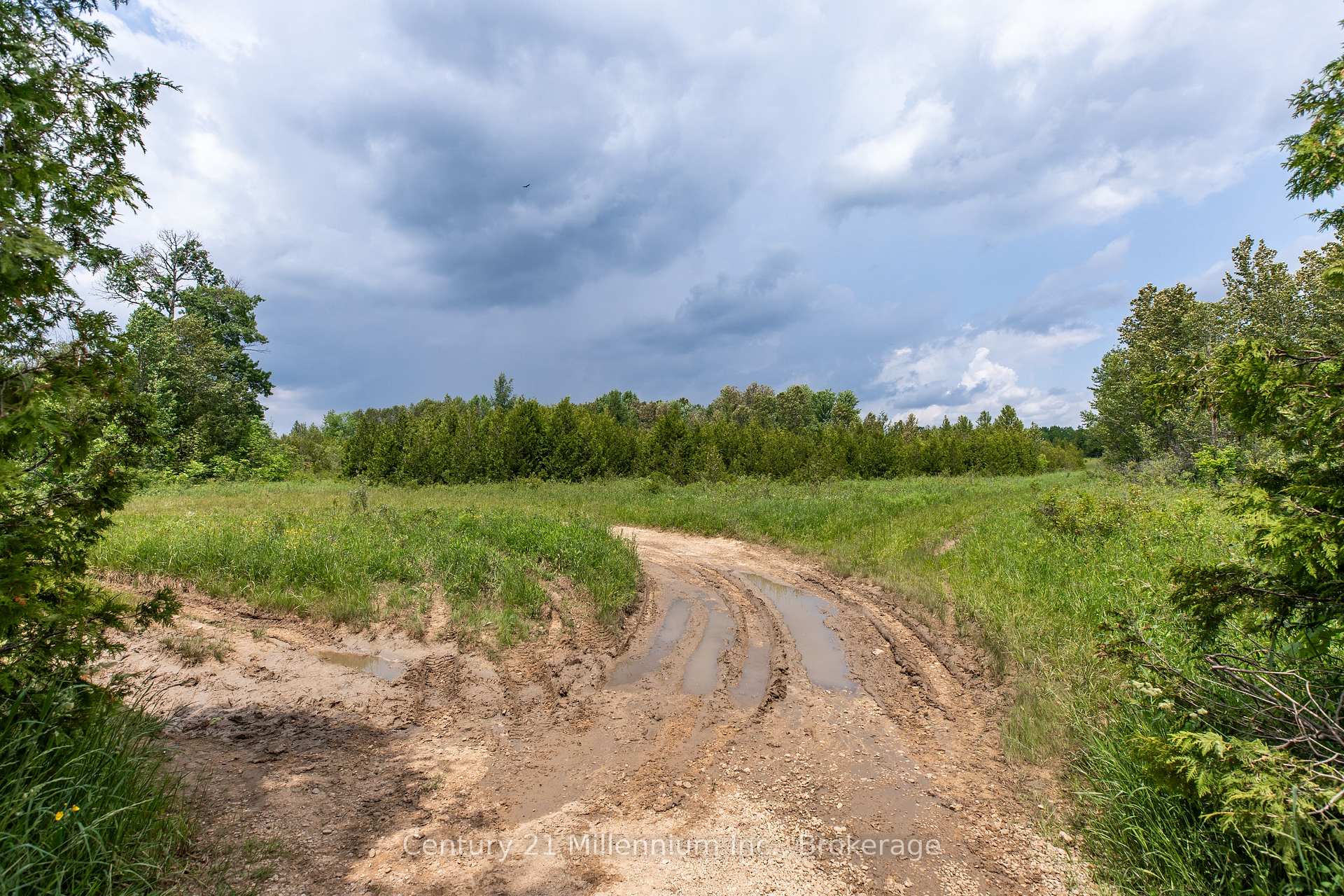 Photo 20 of 135389 Concession 8 Road, Chatsworth — HOMEH