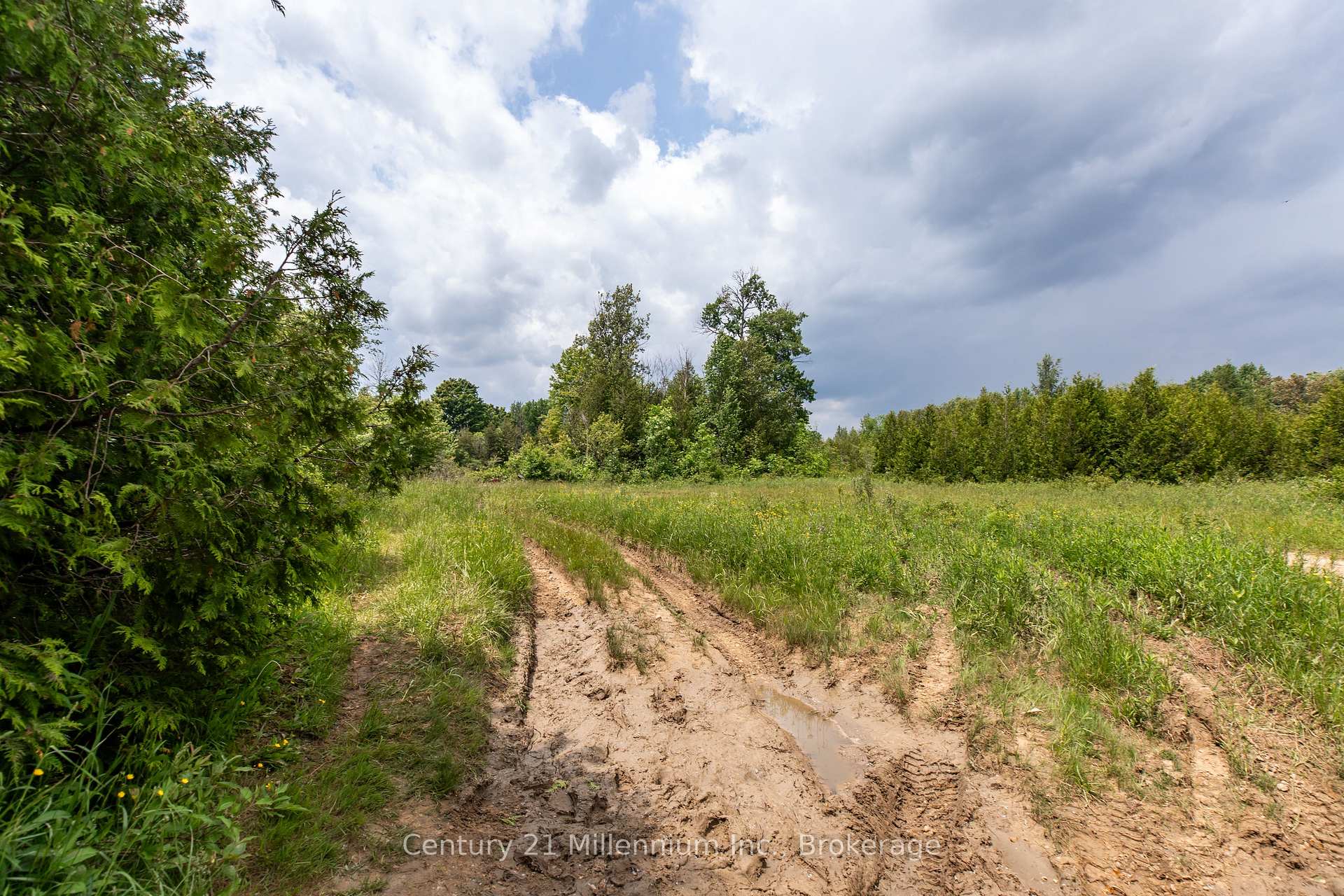 Photo 21 of 135389 Concession 8 Road, Chatsworth — HOMEH