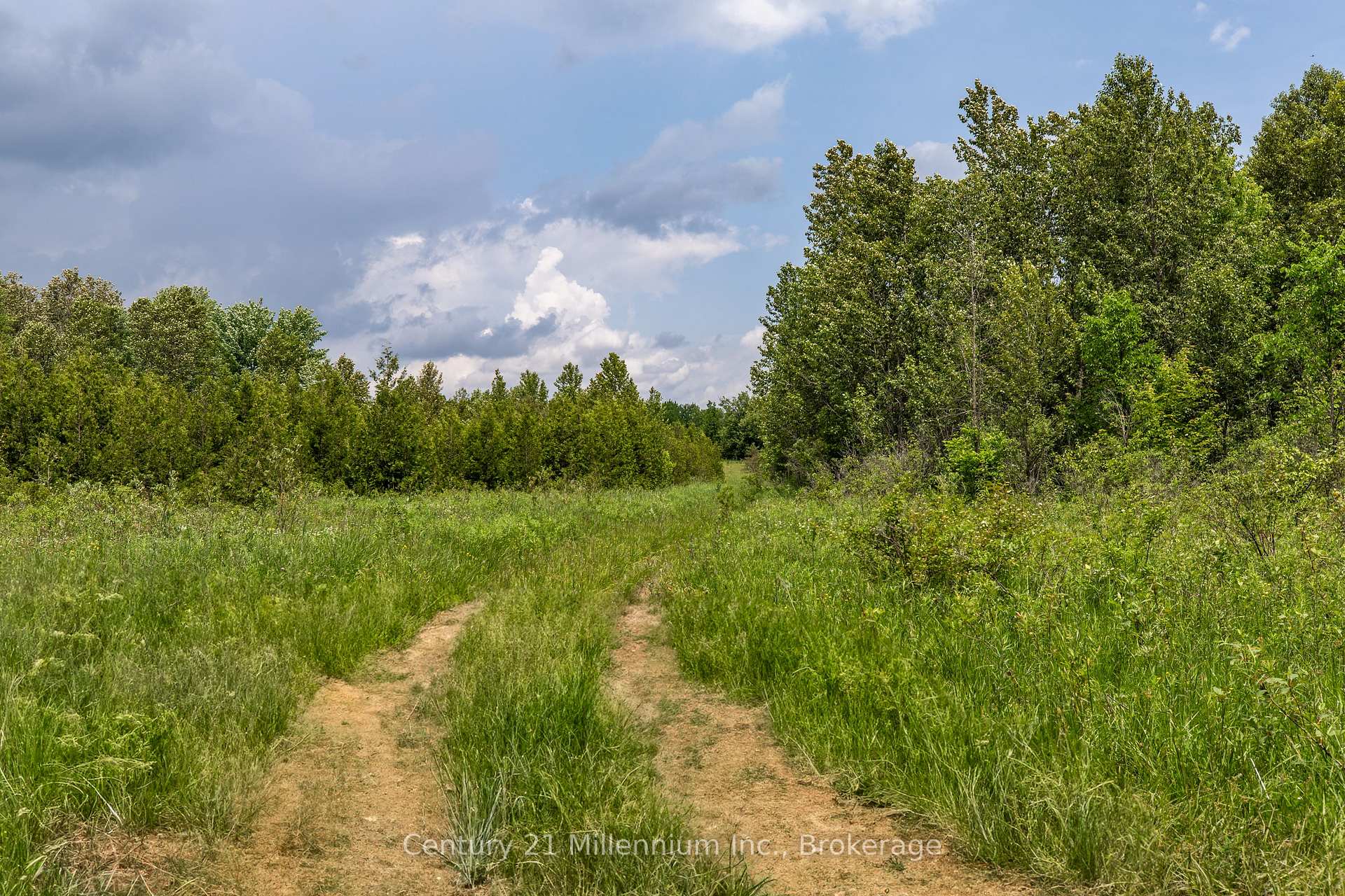 Photo 39 of 135389 Concession 8 Road, Chatsworth — HOMEH