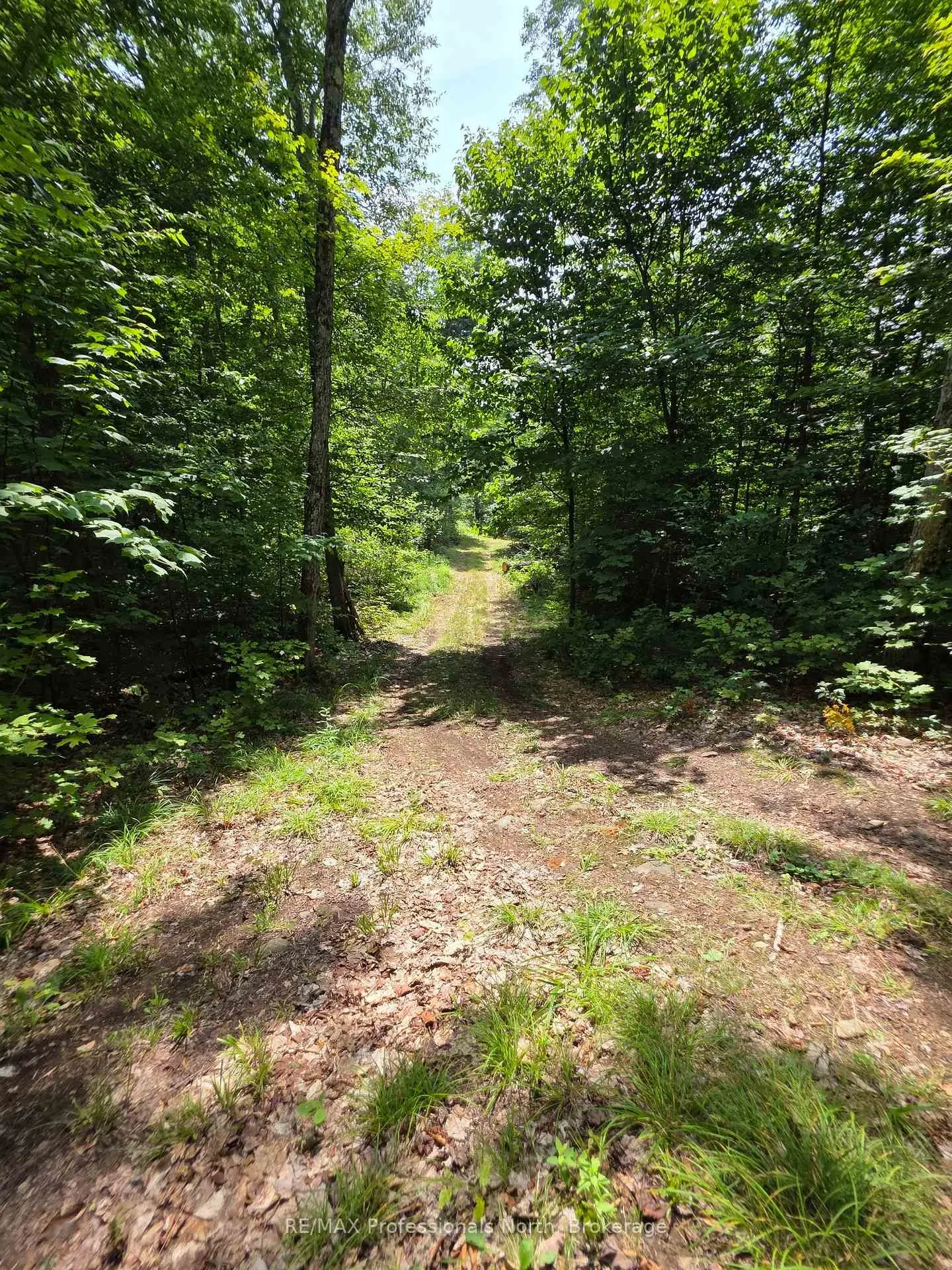 Photo 29 of 208 North Bay Lake Road, Perry, Emsdale — HOMEH