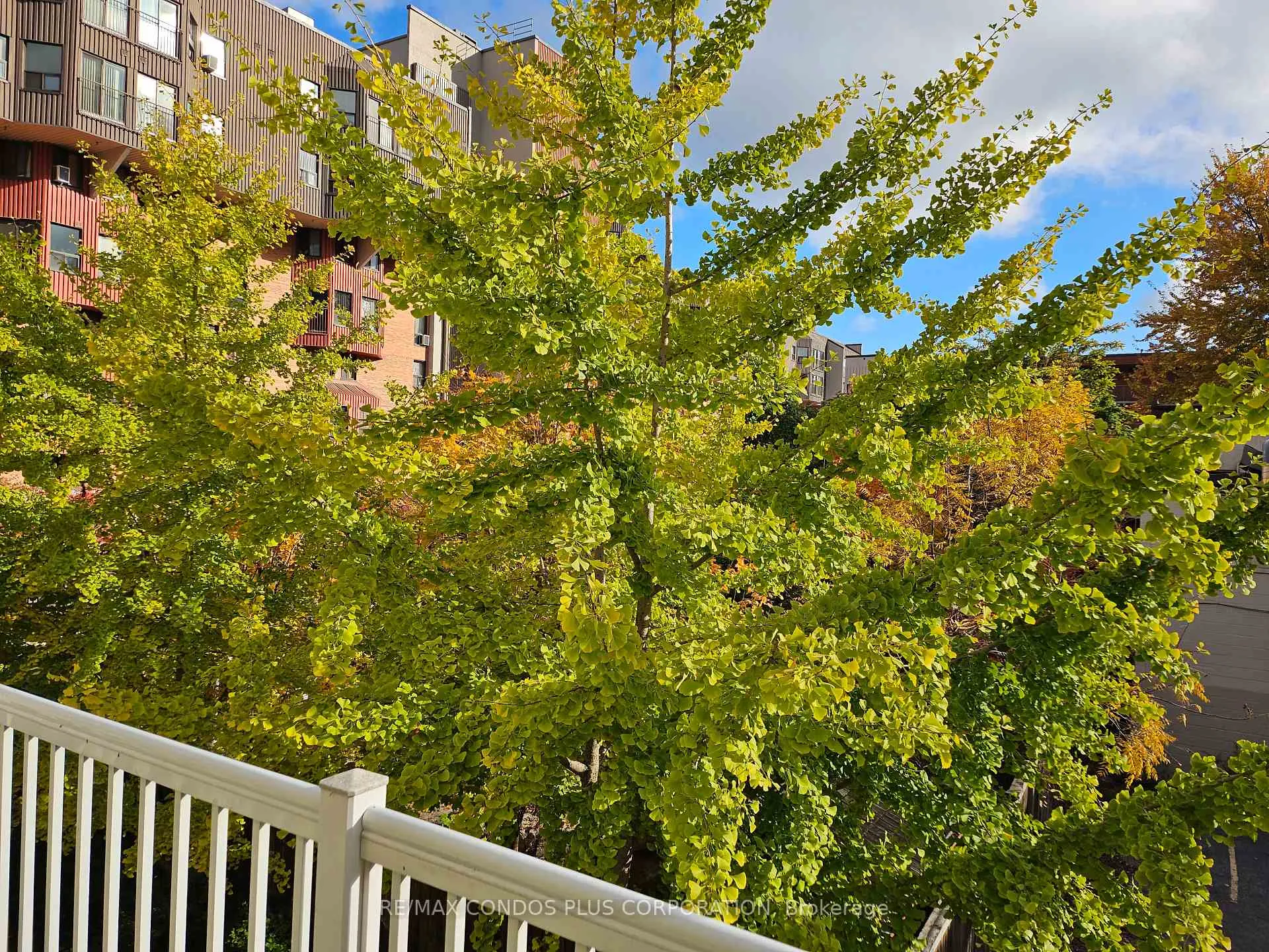 Photo 30 of Unit 237, 179 Bleecker Street, Toronto, Cabbagetown-South St. James Town — HOMEH