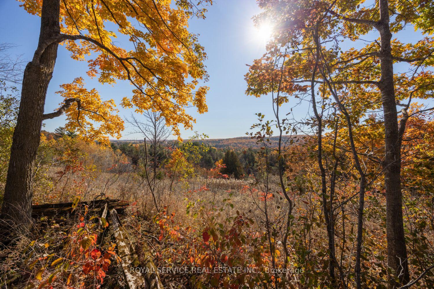 Photo 39 of 493 Bland Line, Cavan Monaghan, Cavan Twp — HOMEH