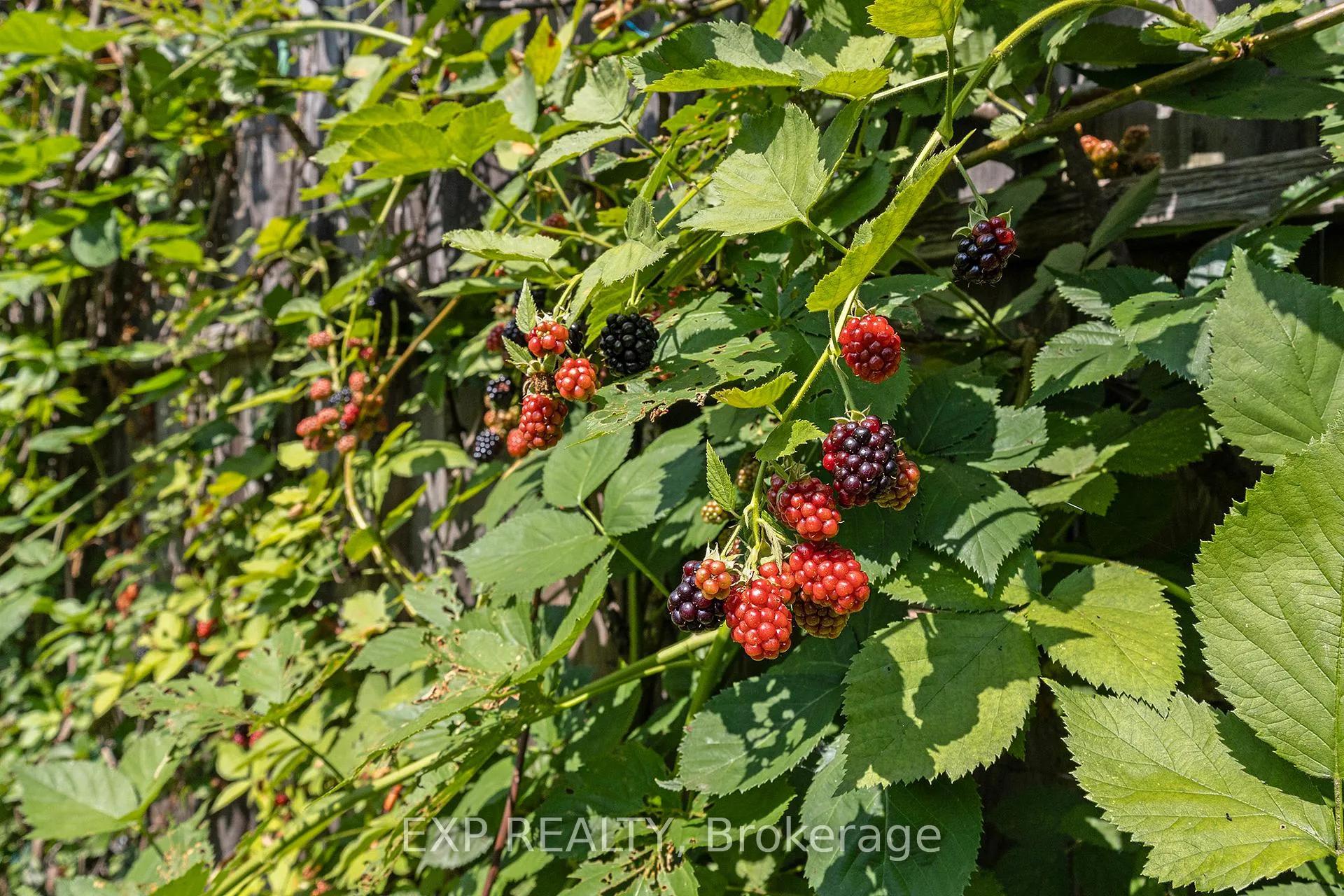 Photo 40 of 41 Wigan Drive, Ottawa, Borden Farm/Stewart Farm/Carleton Heights/Parkwood Hills — HOMEH