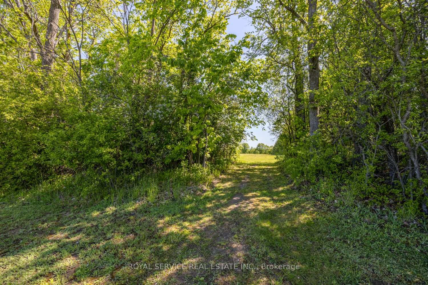 Photo 20 of Highview Crescent, Cavan Monaghan, Cavan Twp — HOMEH