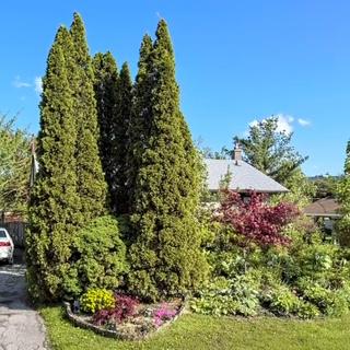 Photo 1 of 217 Martha Crescent, Caledon, Bolton West — HOMEH