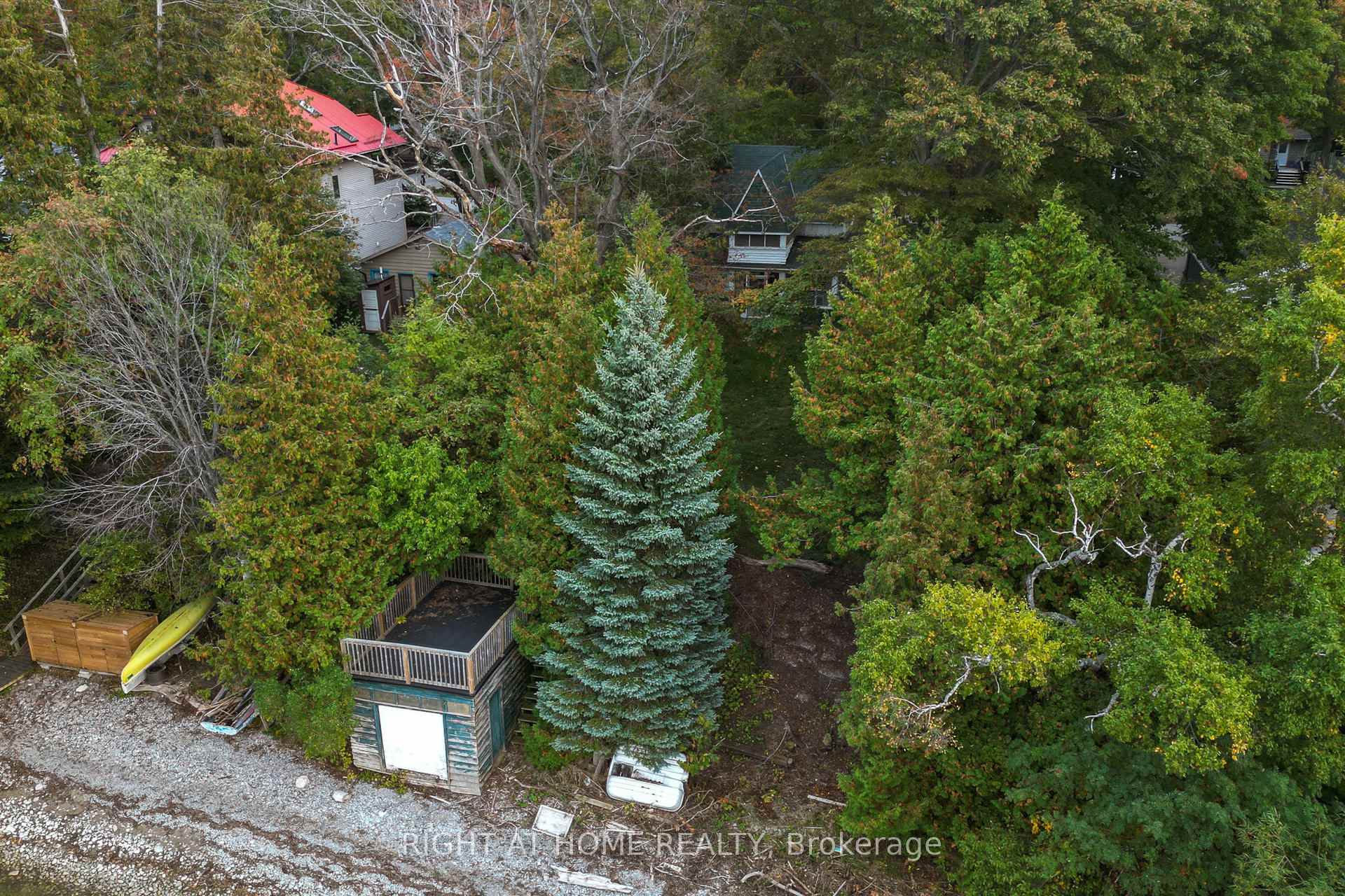Photo 9 of 74 Morrison Avenue, Brock, Beaverton — HOMEH