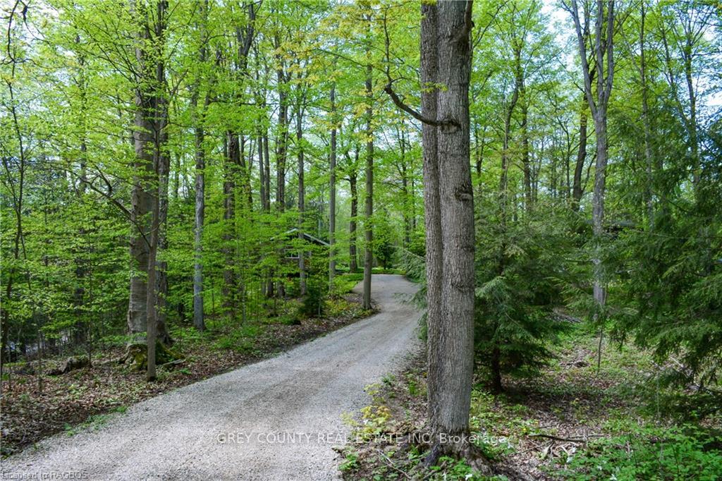 Photo 19 of 583301 60 Side Road, Chatsworth — HOMEH