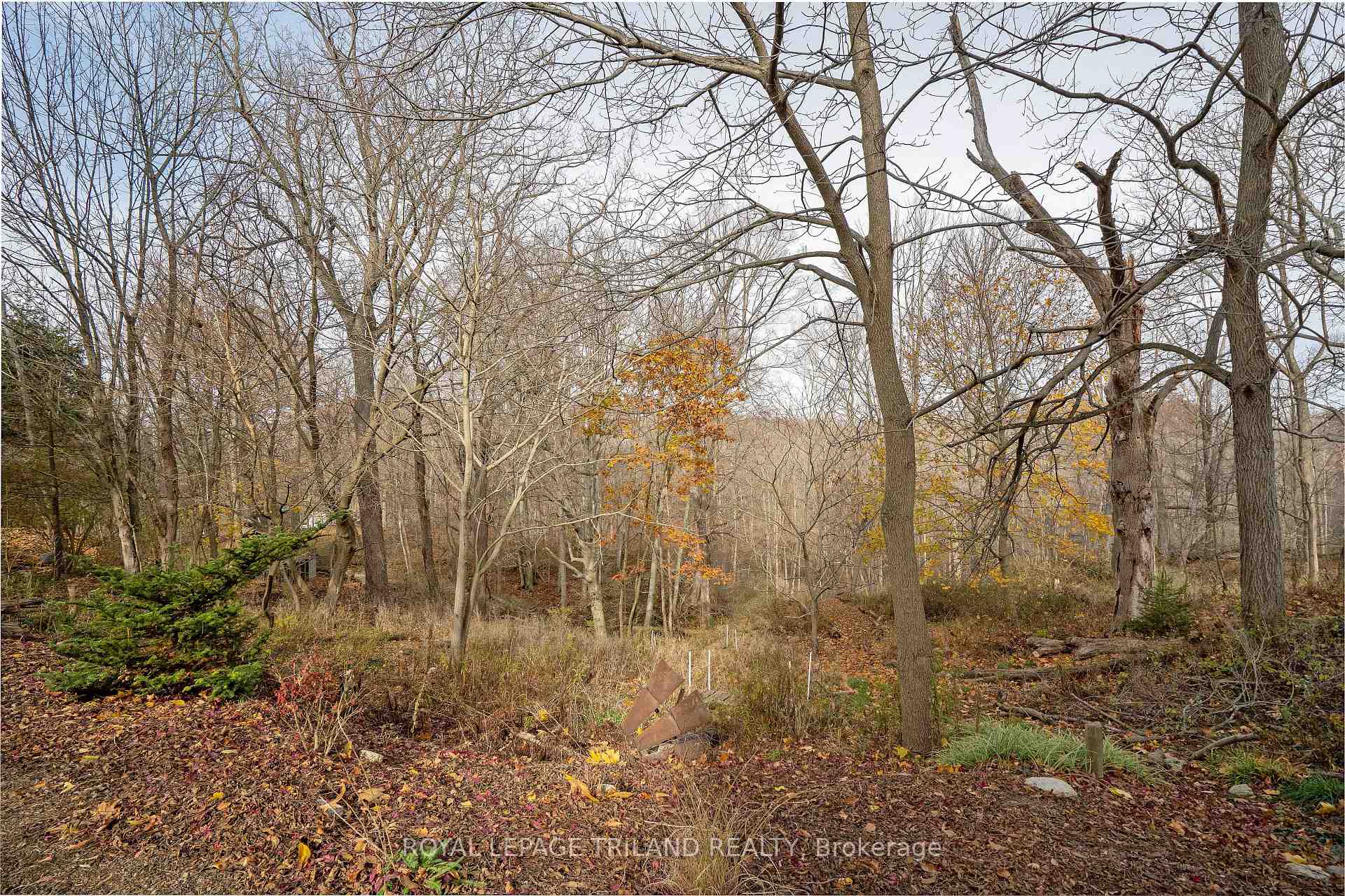 Photo 13 of 495 George Street, Central Elgin, Rural Central Elgin — HOMEH