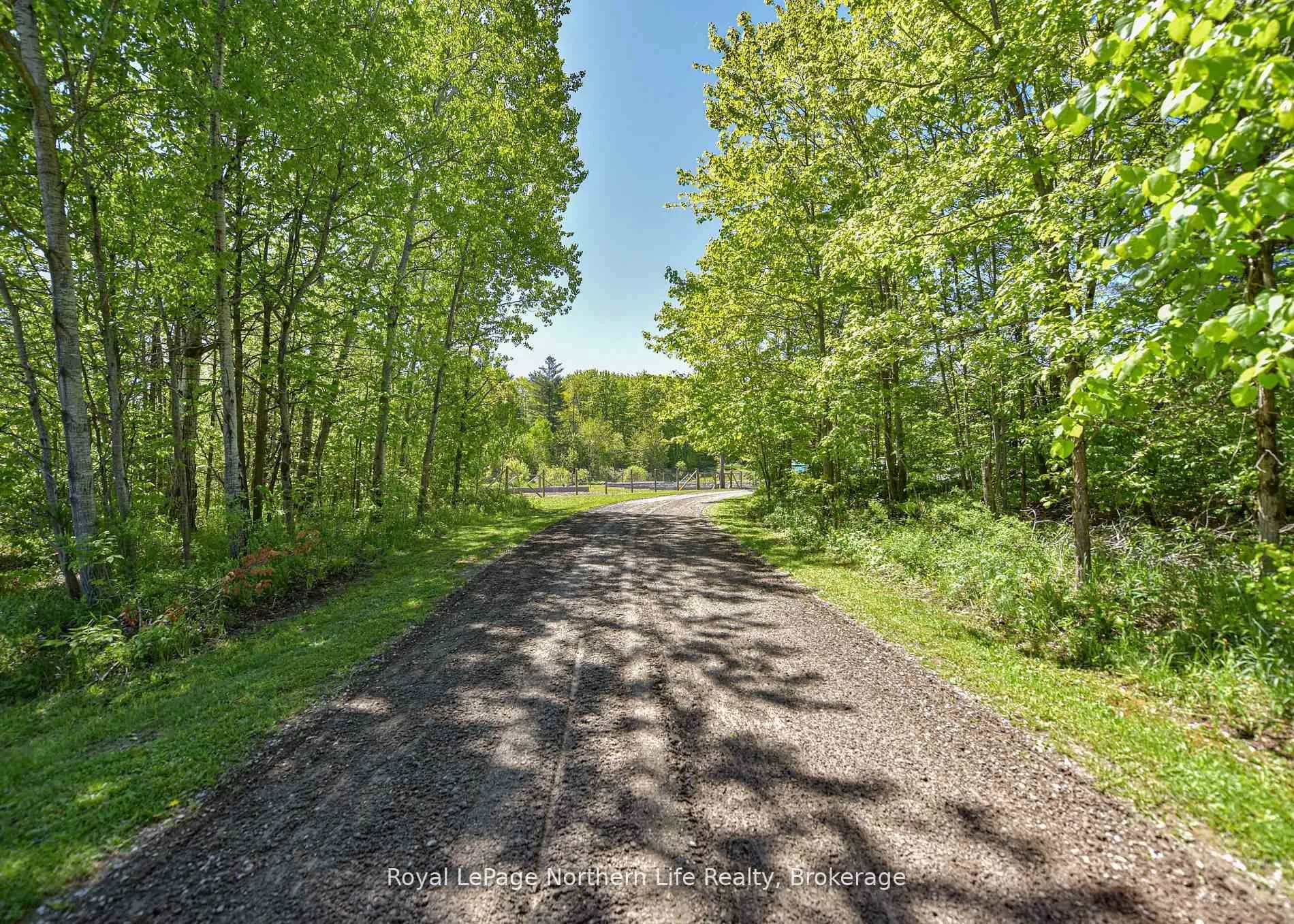 Photo 4 of 1028 Carlyon Line, Severn, Rural Severn — HOMEH