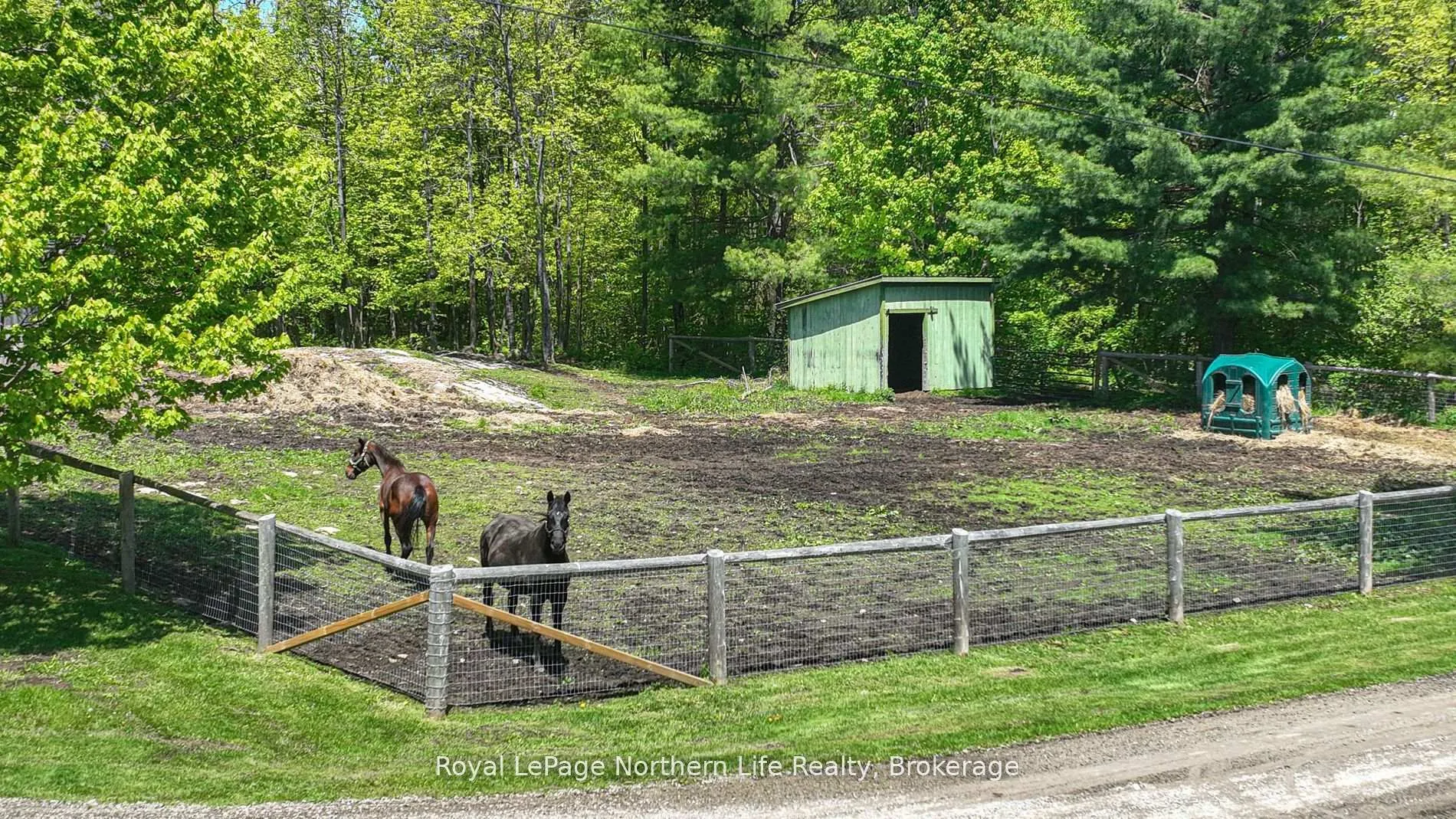 Photo 41 of 1028 Carlyon Line, Severn, Rural Severn — HOMEH
