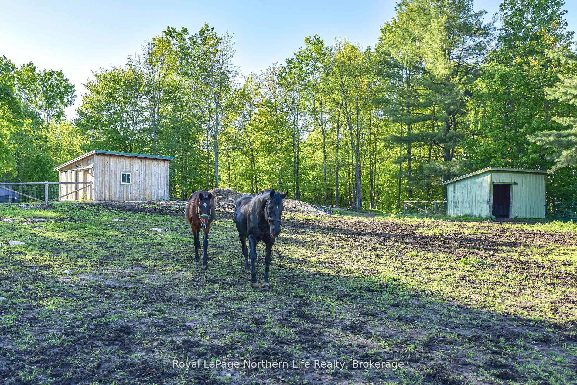Photo 43 of 1028 Carlyon Line, Severn, Rural Severn — HOMEH