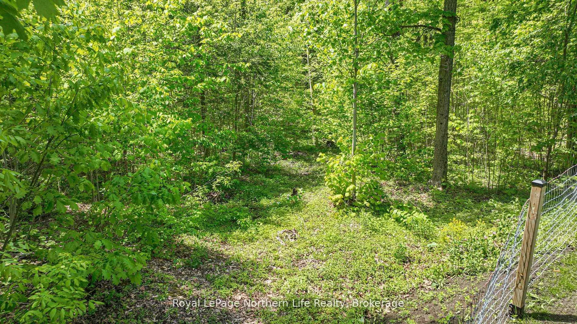 Photo 49 of 1028 Carlyon Line, Severn, Rural Severn — HOMEH