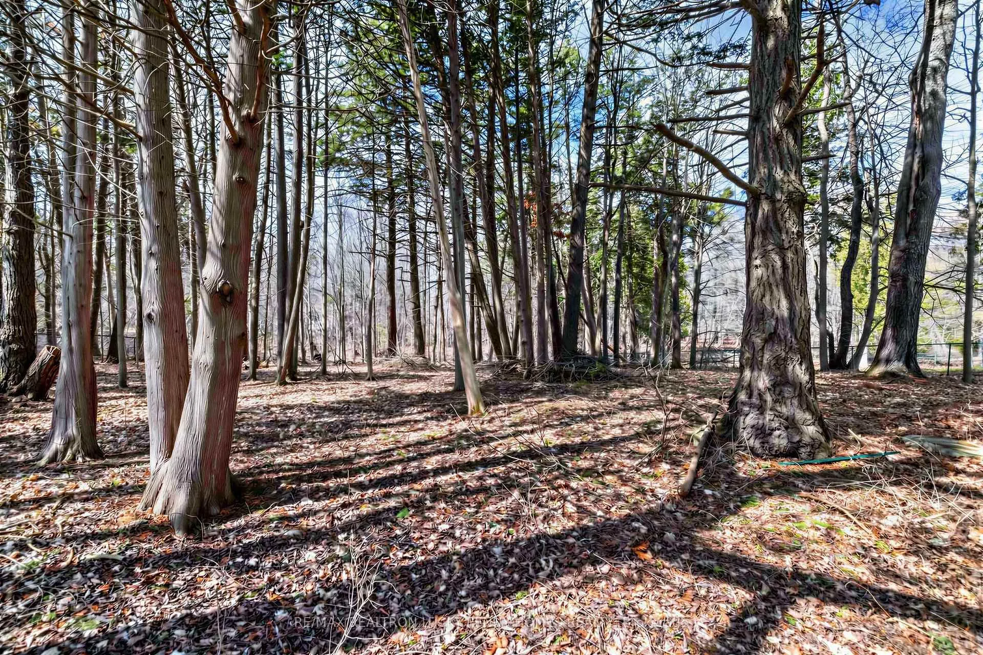 Photo 47 of 29 Glenbourne Park Drive, Markham, Devil's Elbow — HOMEH