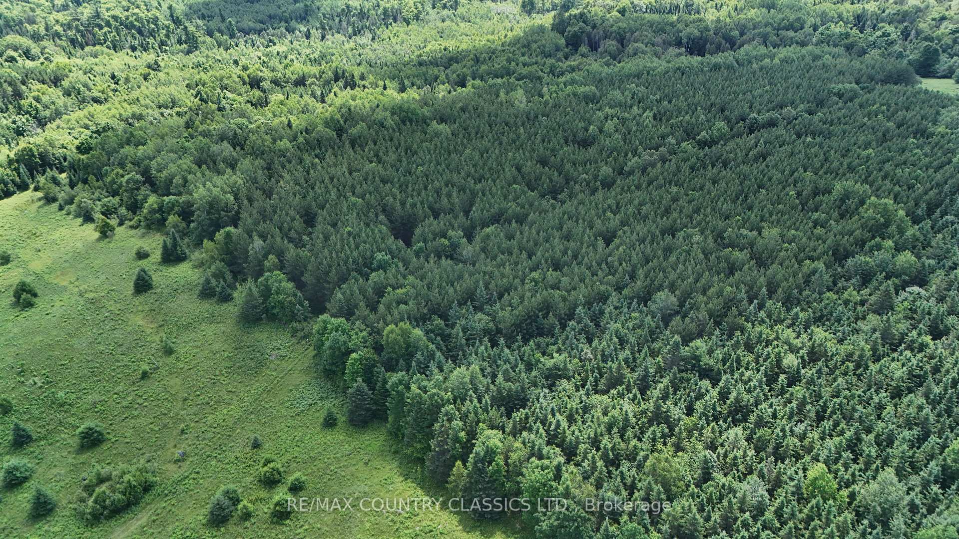 Photo 31 of 38 Bruce Road, Carlow/Mayo, Mayo Ward — HOMEH