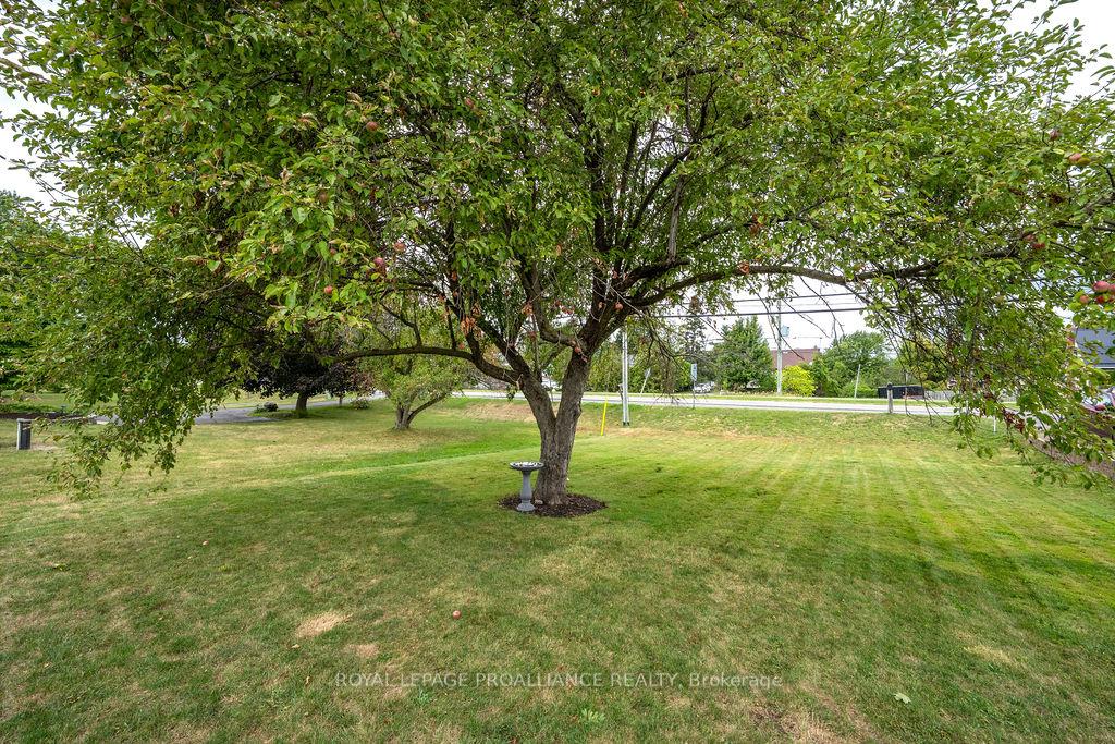 Photo 11 of 4324 Old 2 Highway, Belleville, Belleville Ward — HOMEH