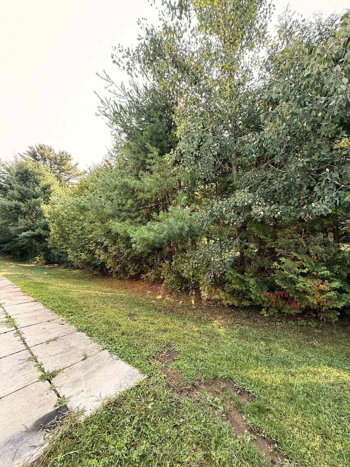 Photo 14 of Unit 45, 200 Pine Street, Bracebridge, Macaulay — HOMEH