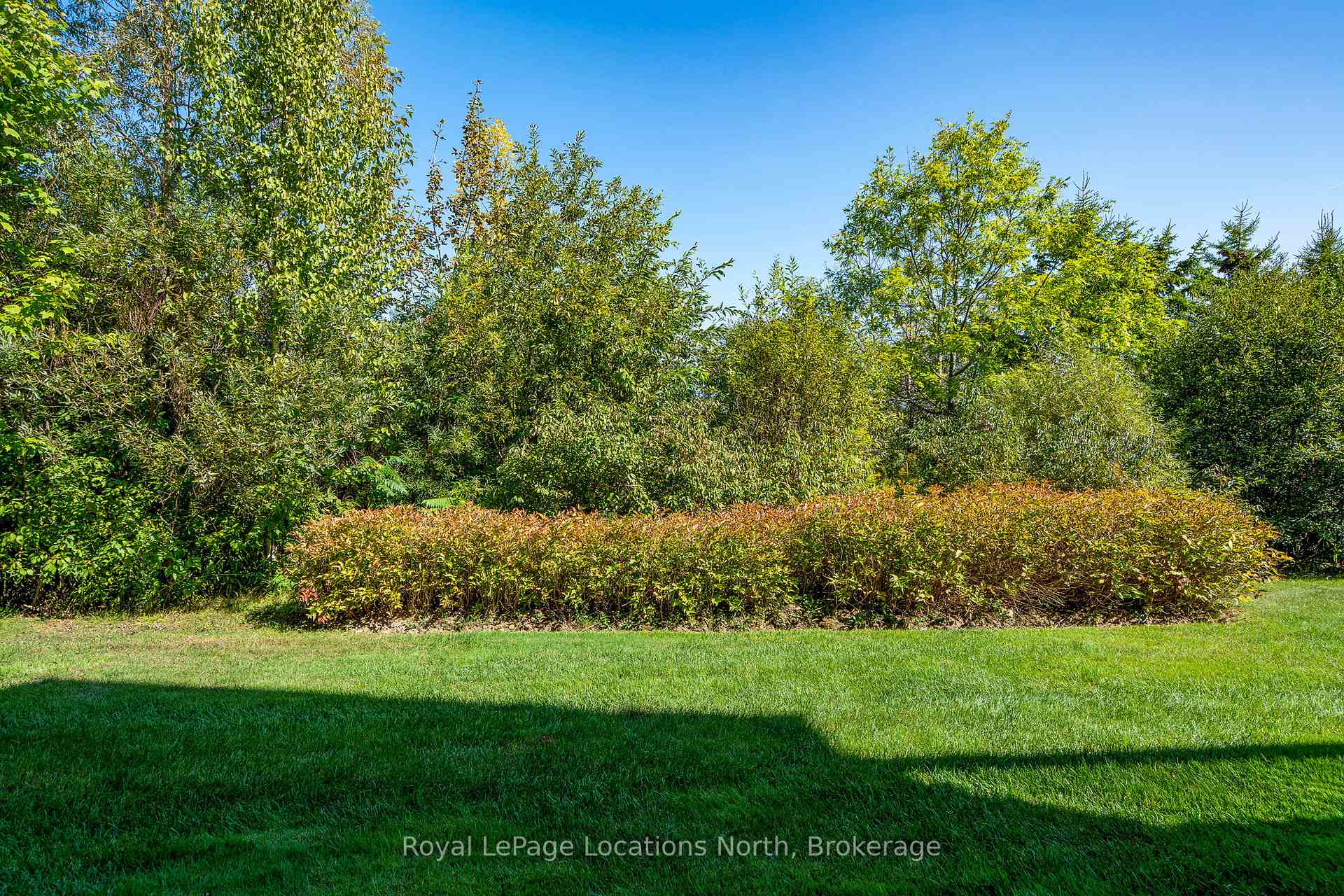Photo 7 of Unit 51, 91 Green Briar Drive, Collingwood — HOMEH