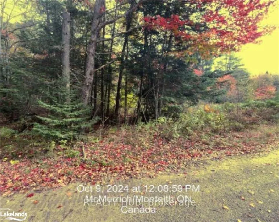Photo 2 of LOT 5 Axe Lake Road, McMurrich/Monteith, McMurrich — HOMEH