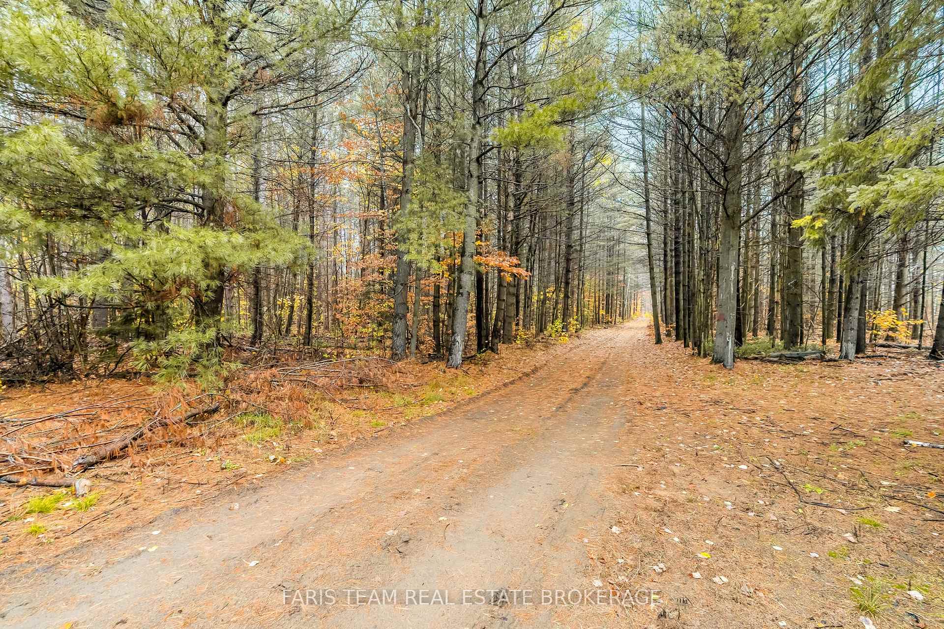 Photo 3 of 5992 Concession 2 Sunnidale, Clearview, Rural Clearview — HOMEH