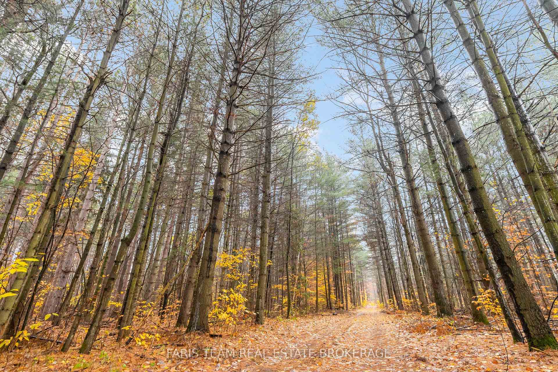 Photo 9 of 5992 Concession 2 Sunnidale, Clearview, Rural Clearview — HOMEH