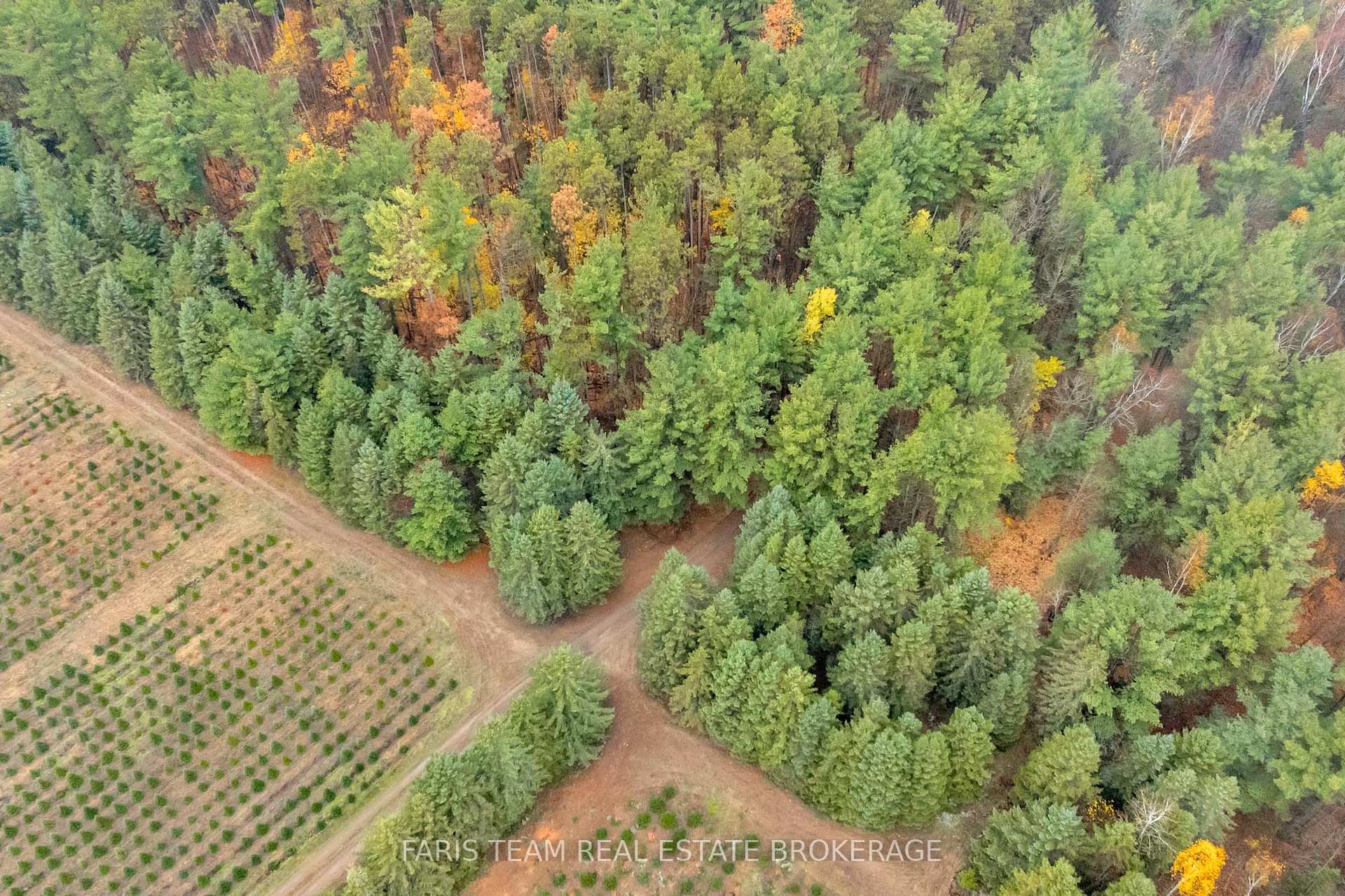 Photo 6 of 5992 Concession 2 Sunnidale, Clearview, Rural Clearview — HOMEH