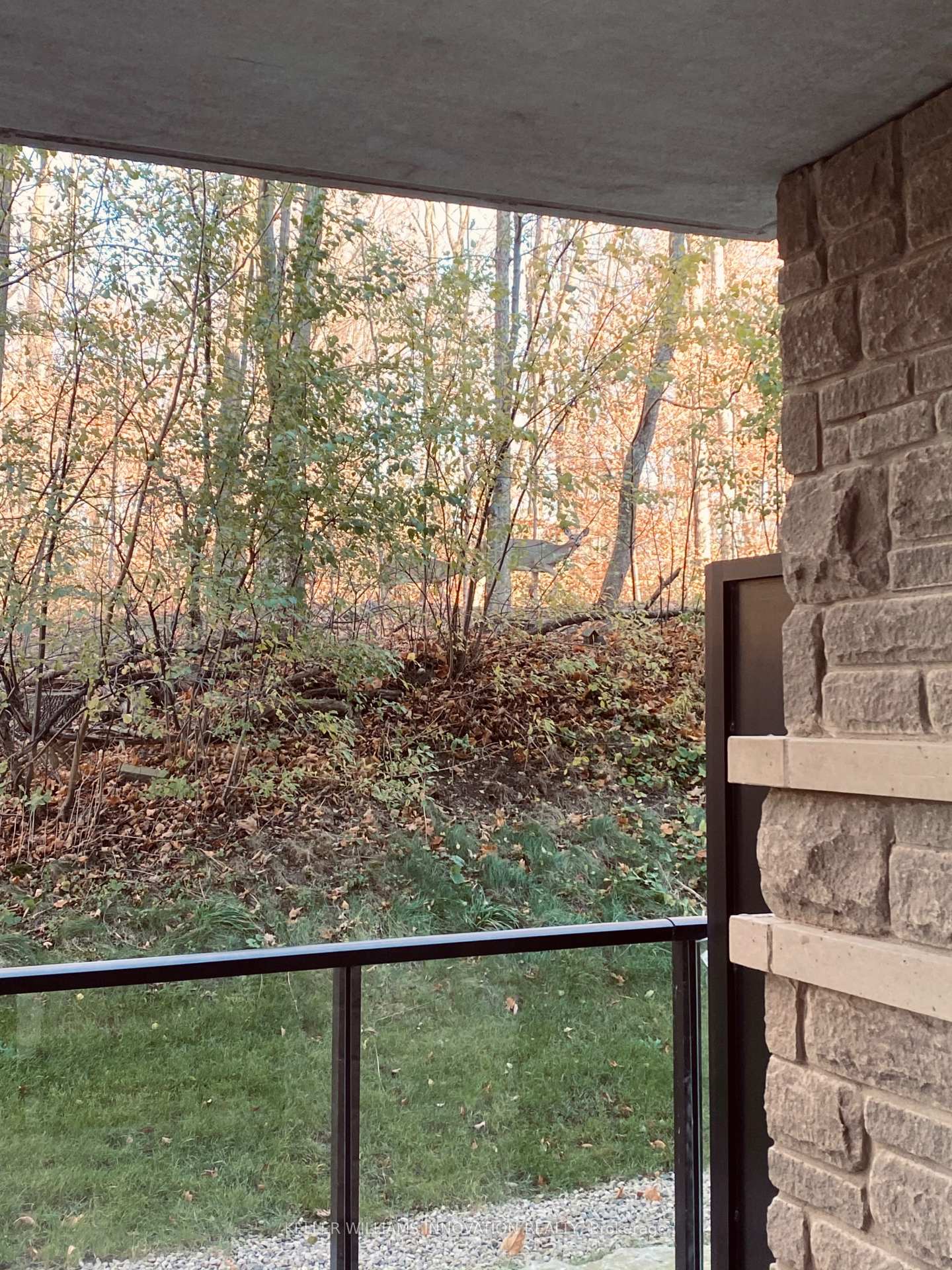 Photo 17 of Unit 101, 50 Bryan Court, Kitchener, Grand River South — HOMEH