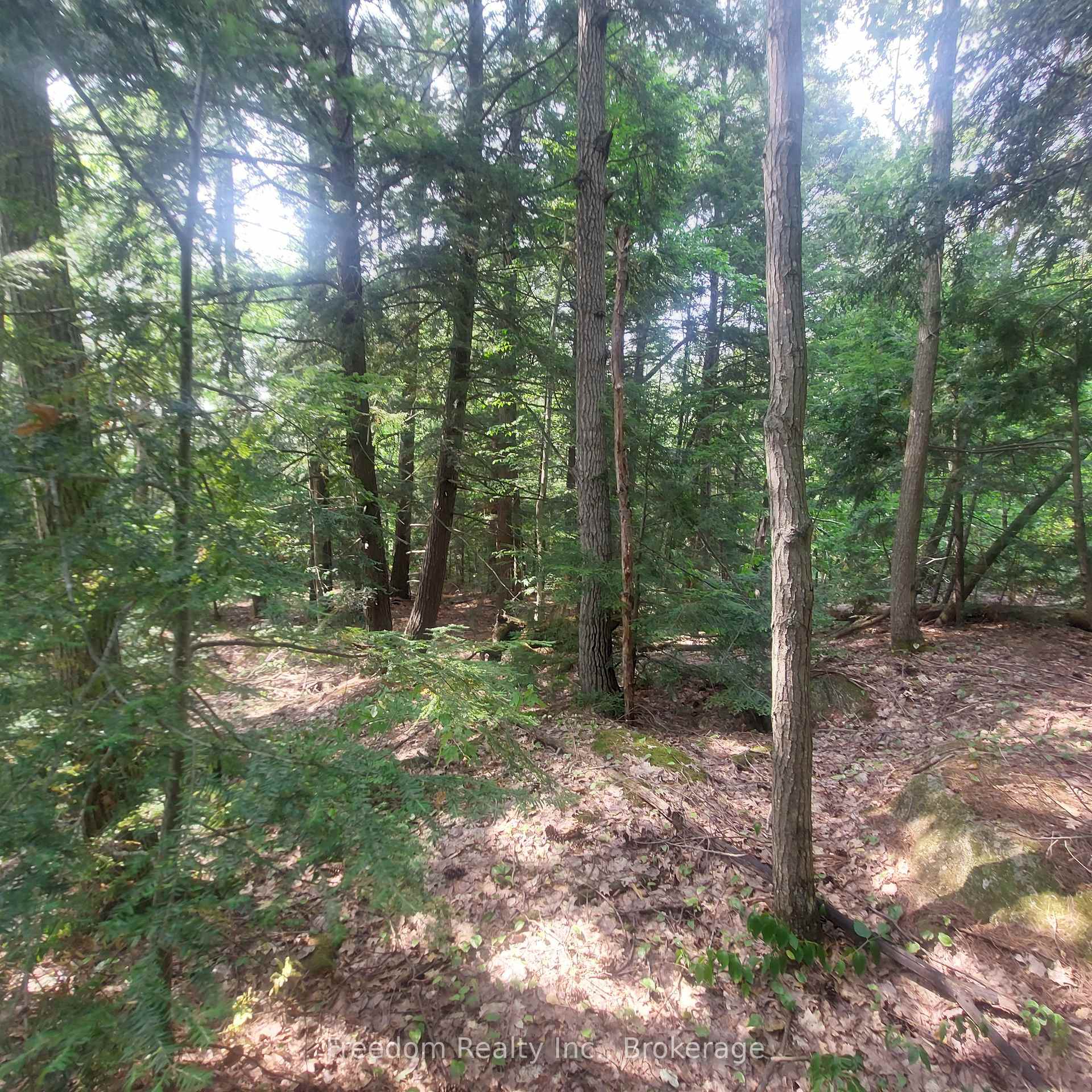 Photo 3 of BLK 61 Kilworthy Road, Gravenhurst, Morrison — HOMEH
