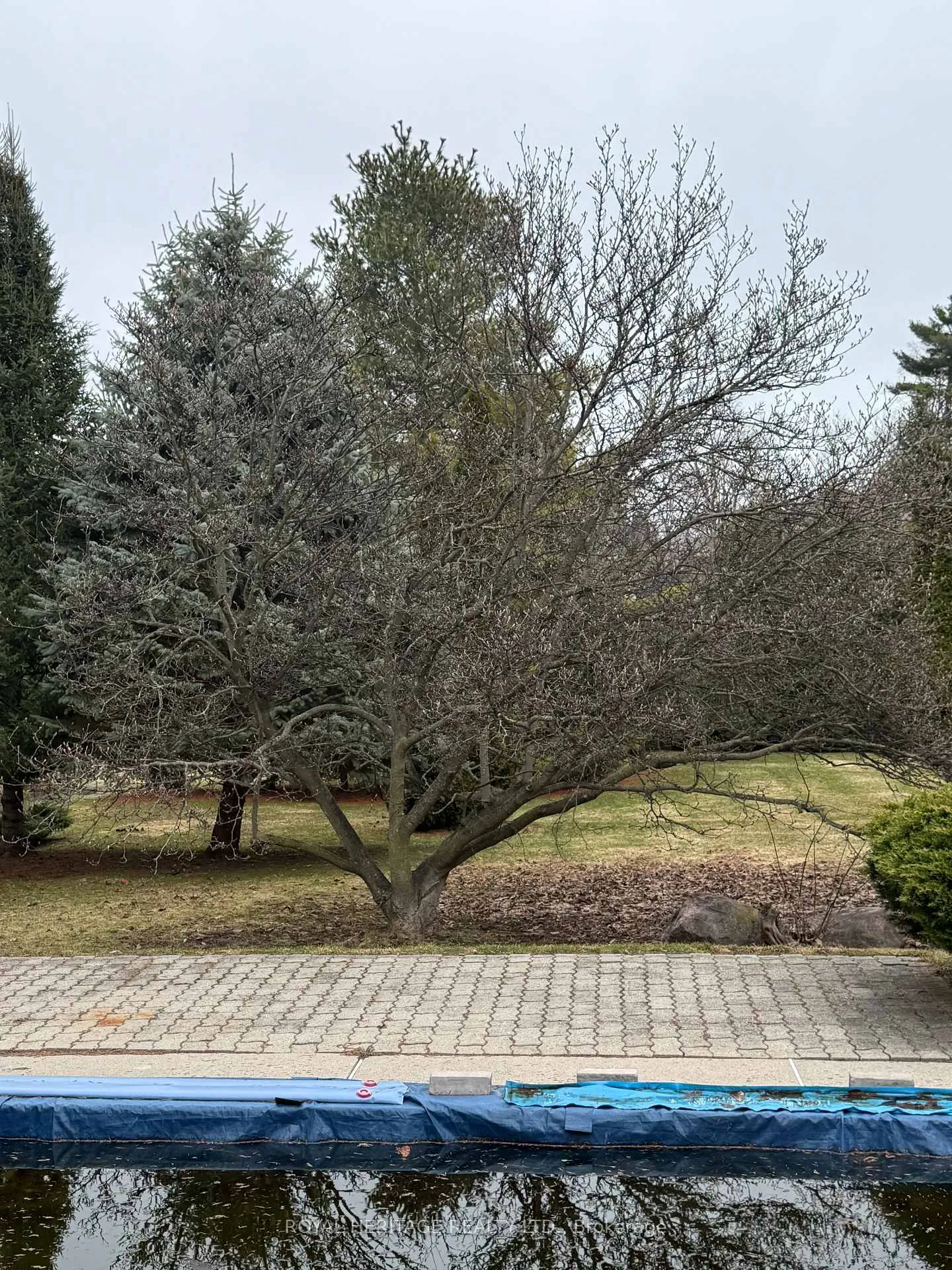 Photo 9 of 527 Rougemount Drive, Pickering, Rosebank — HOMEH