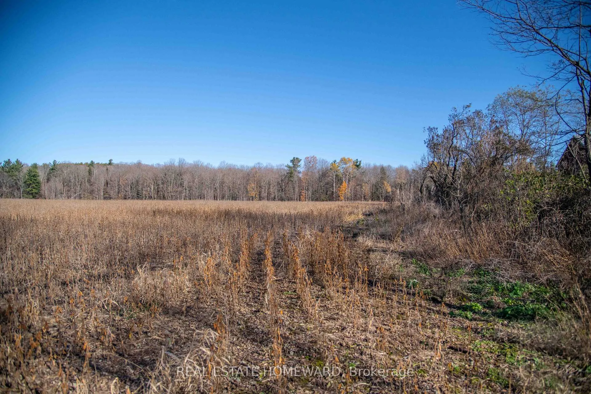 Photo 16 of 7257 Soper Road, Clarington, Rural Clarington — HOMEH