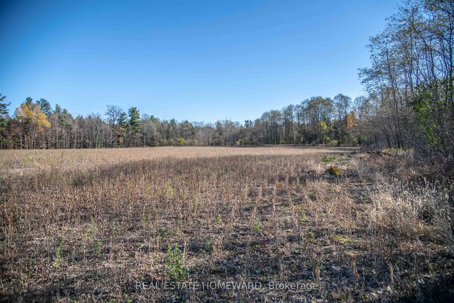 Photo 18 of 7257 Soper Road, Clarington, Rural Clarington — HOMEH
