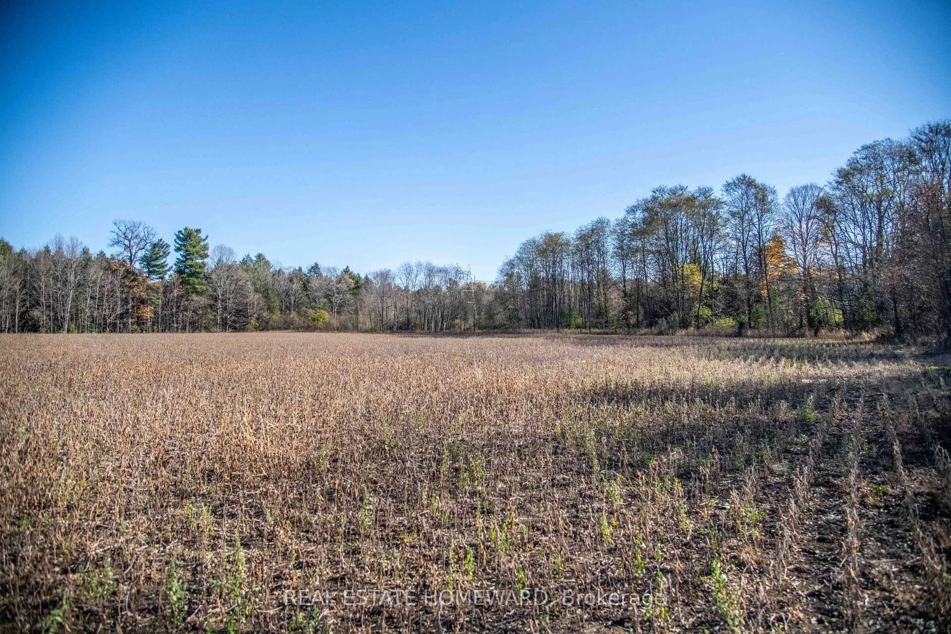 Photo 21 of 7257 Soper Road, Clarington, Rural Clarington — HOMEH