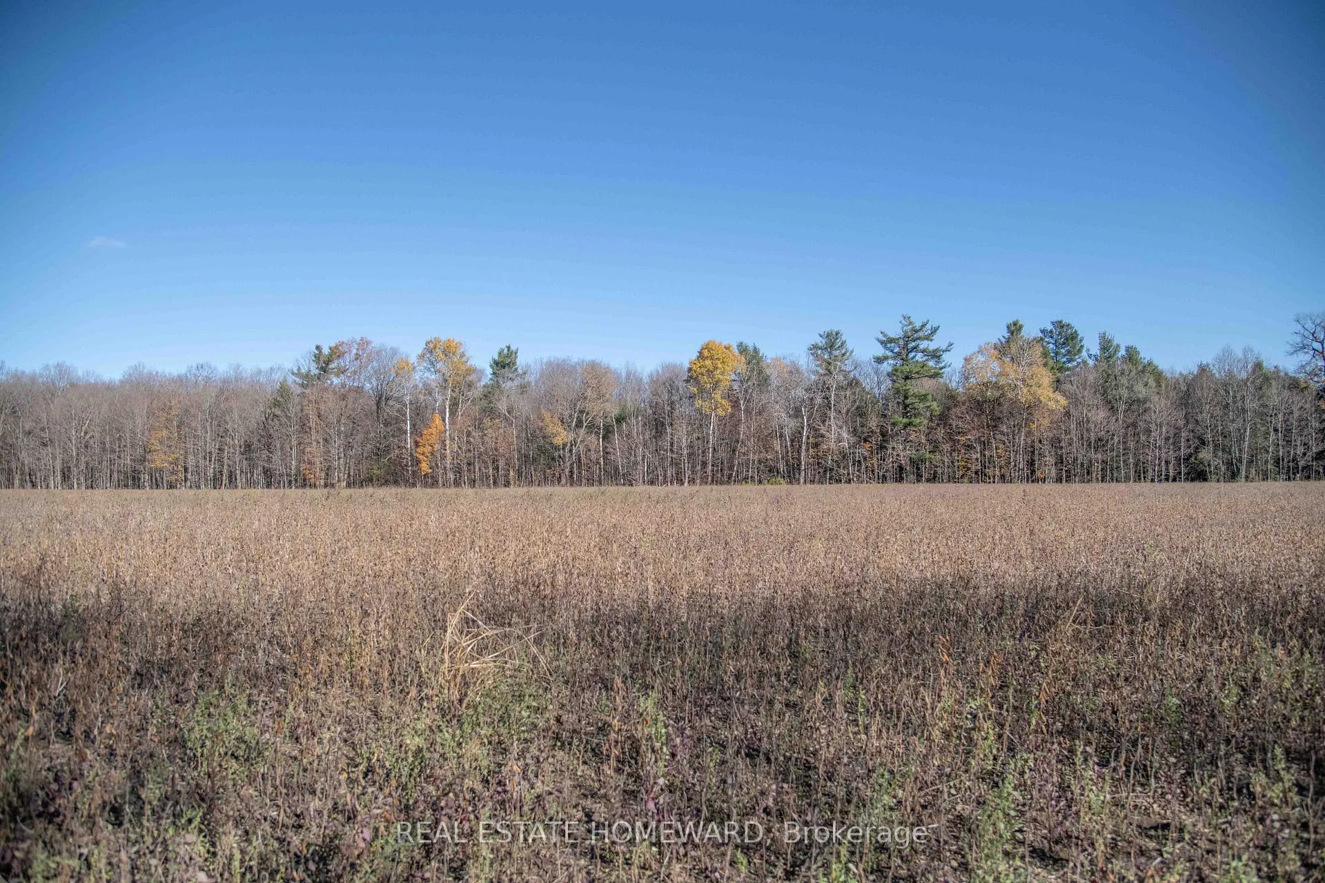 Photo 22 of 7257 Soper Road, Clarington, Rural Clarington — HOMEH