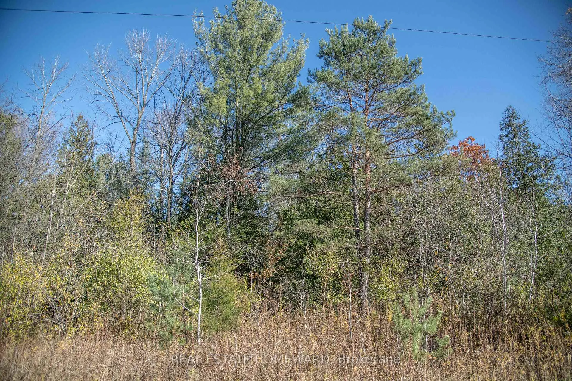 Photo 40 of 7257 Soper Road, Clarington, Rural Clarington — HOMEH