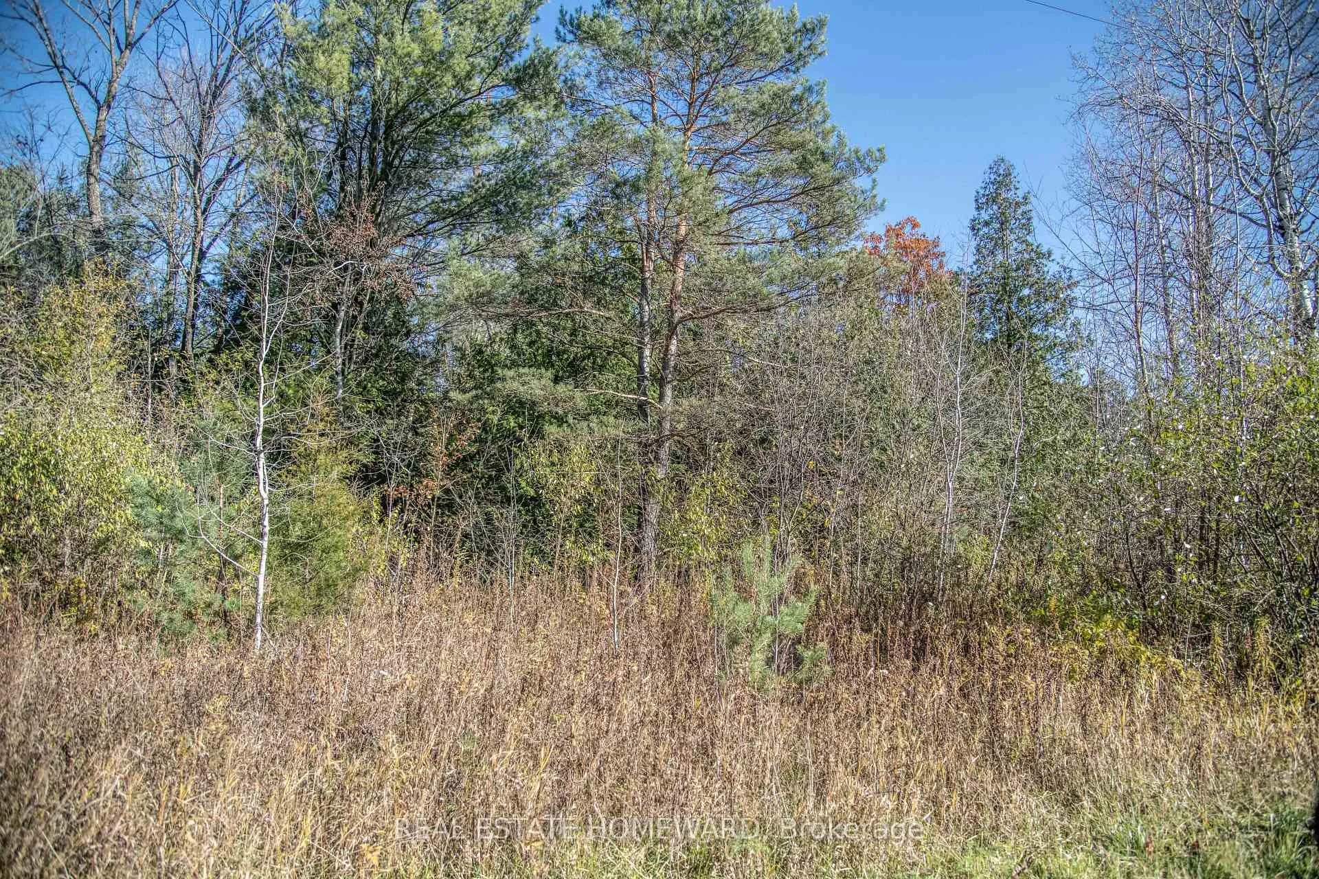 Photo 41 of 7257 Soper Road, Clarington, Rural Clarington — HOMEH