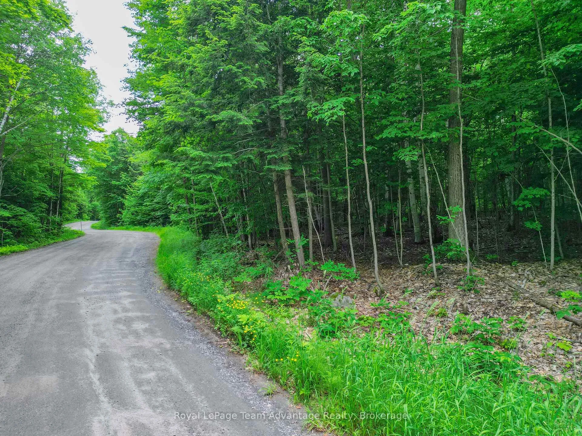Photo 2 of Mill Lake Trail, McDougall — HOMEH