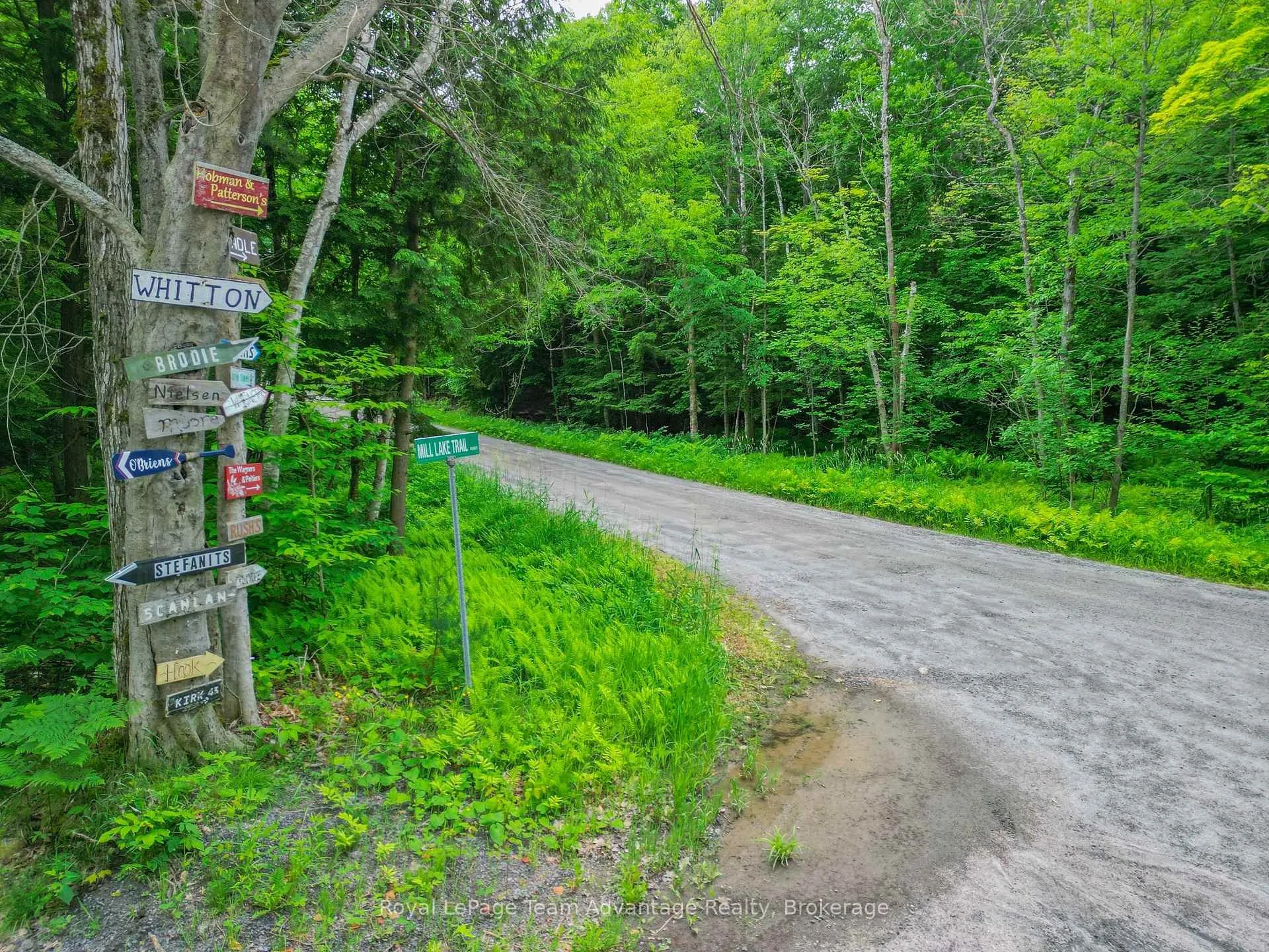Photo 3 of Mill Lake Trail, McDougall — HOMEH