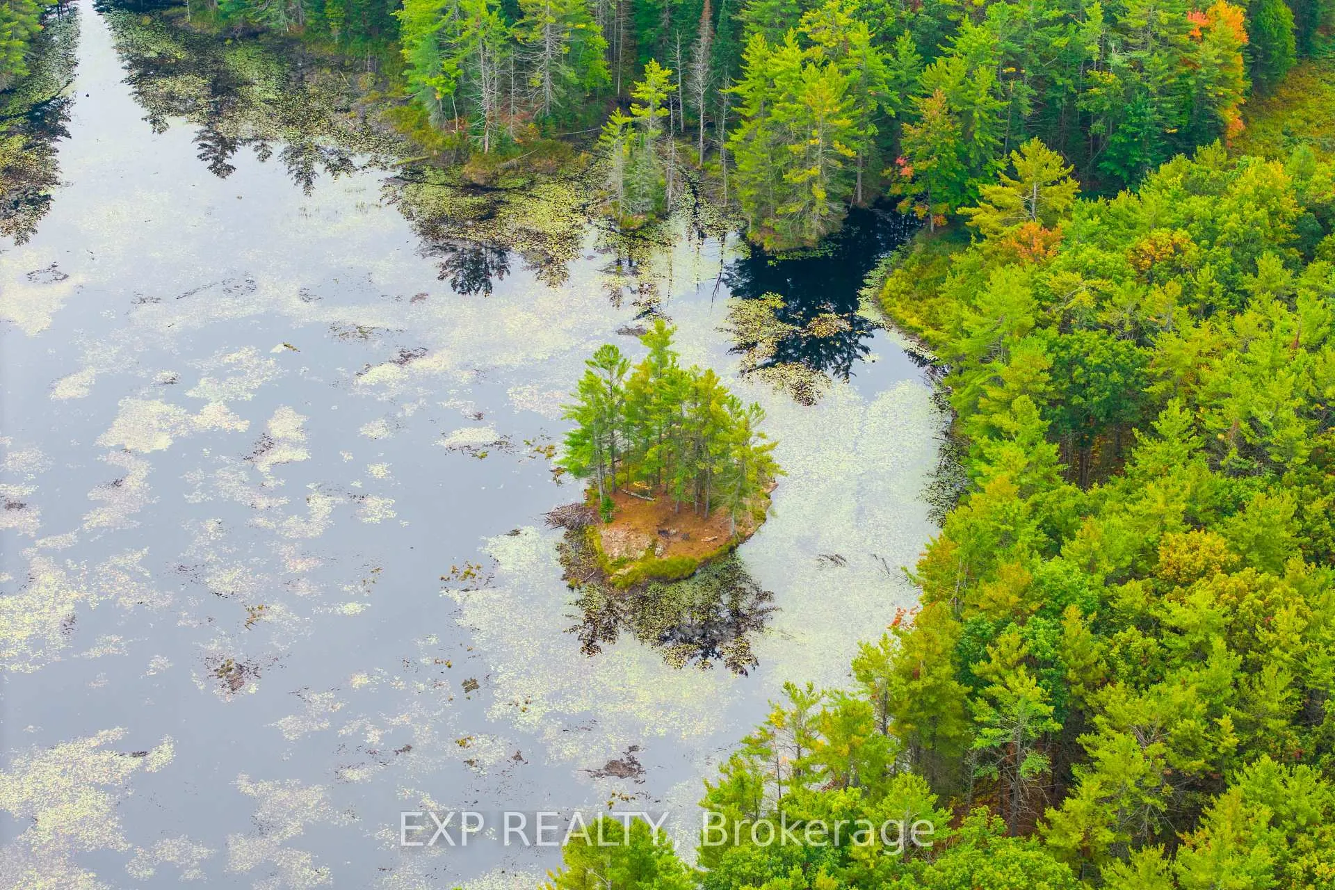 Photo 5 of 1144 A South Lake Morrison Road, Gravenhurst, Wood (Gravenhurst) — HOMEH