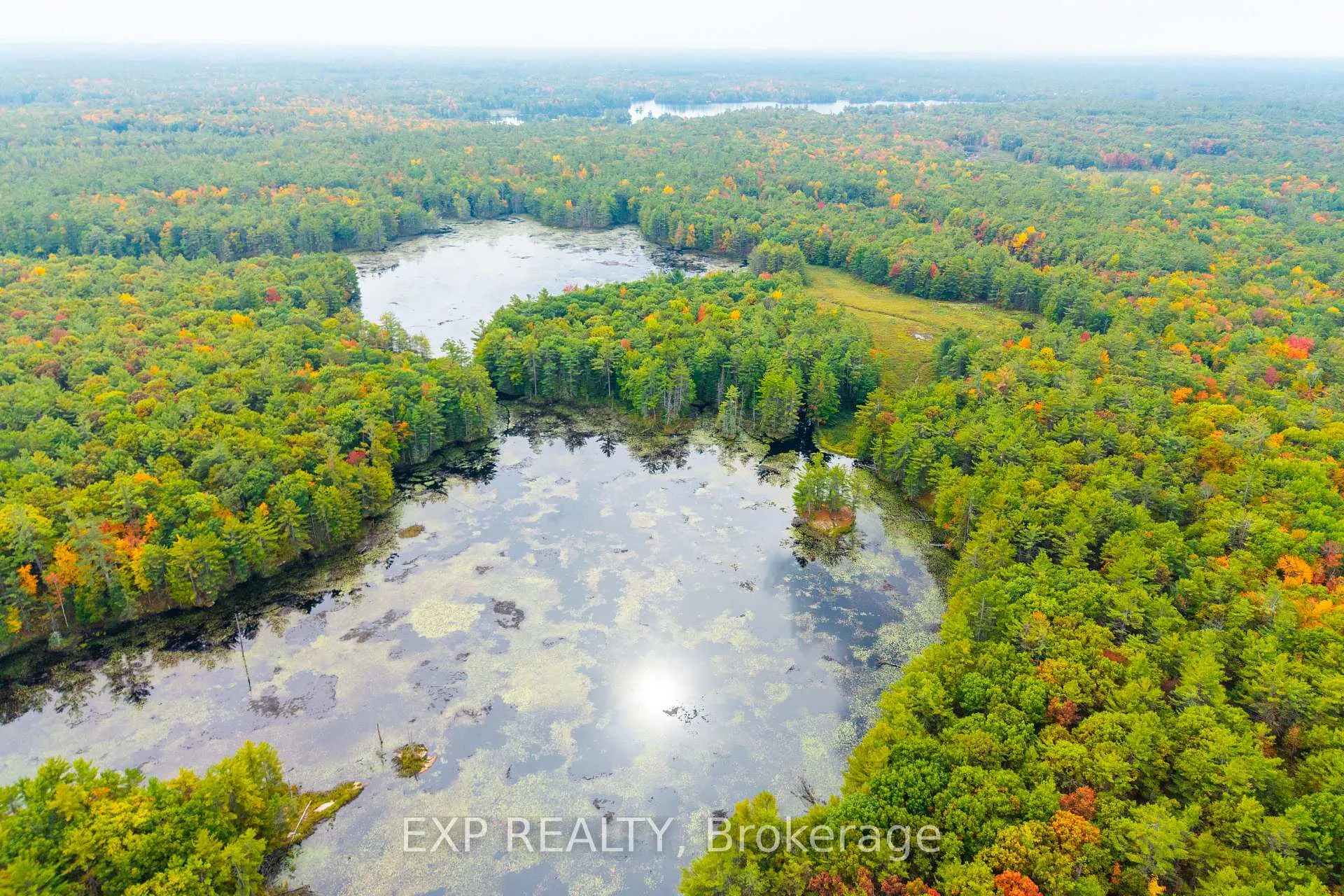 Photo 6 of 1144 A South Lake Morrison Road, Gravenhurst, Wood (Gravenhurst) — HOMEH