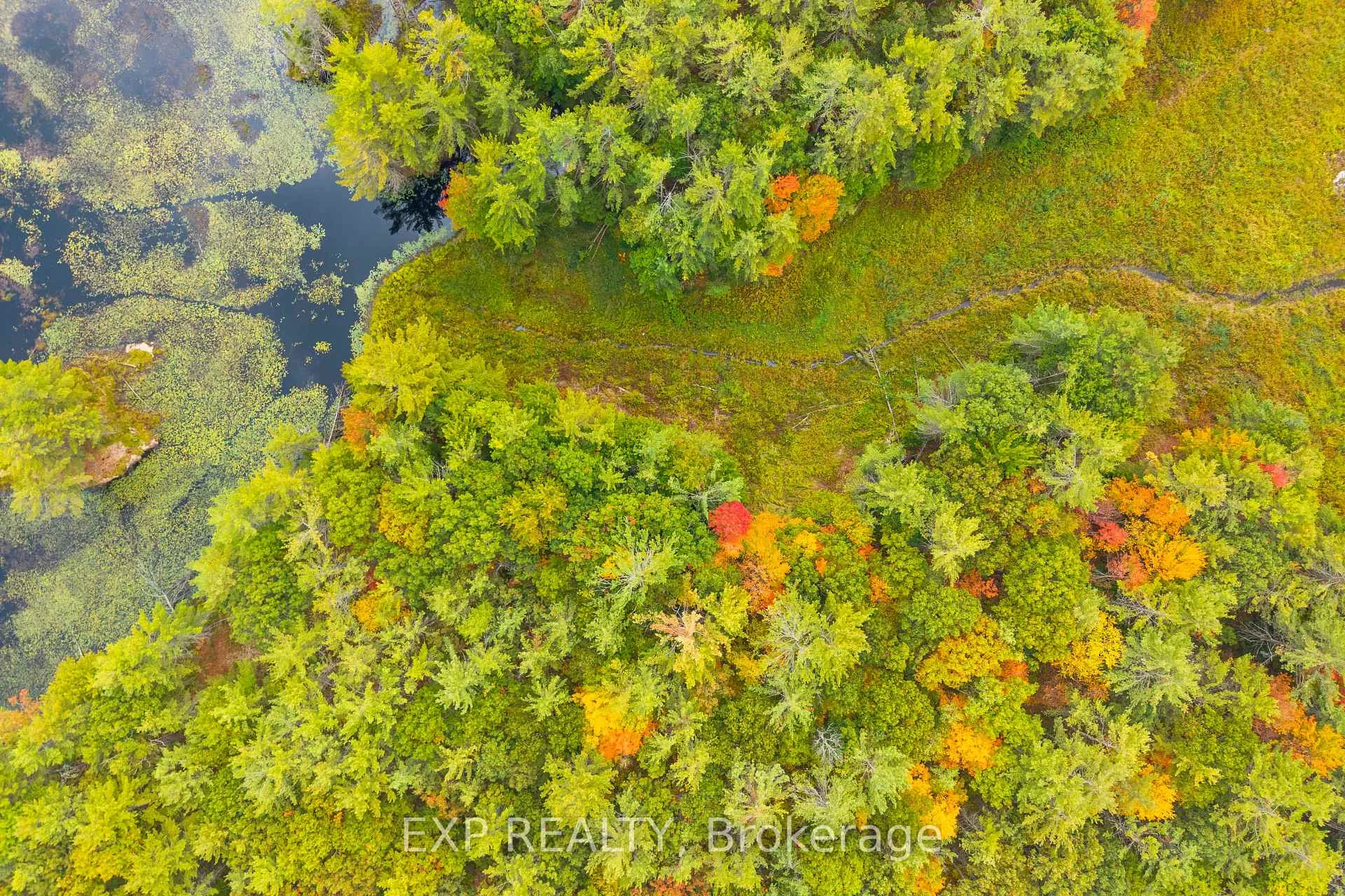 Photo 7 of 1144 A South Lake Morrison Road, Gravenhurst, Wood (Gravenhurst) — HOMEH