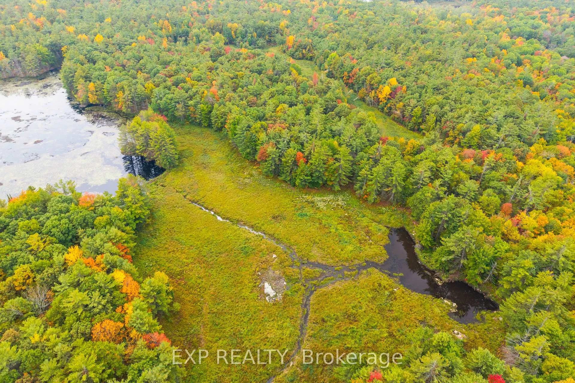 Photo 8 of 1144 A South Lake Morrison Road, Gravenhurst, Wood (Gravenhurst) — HOMEH