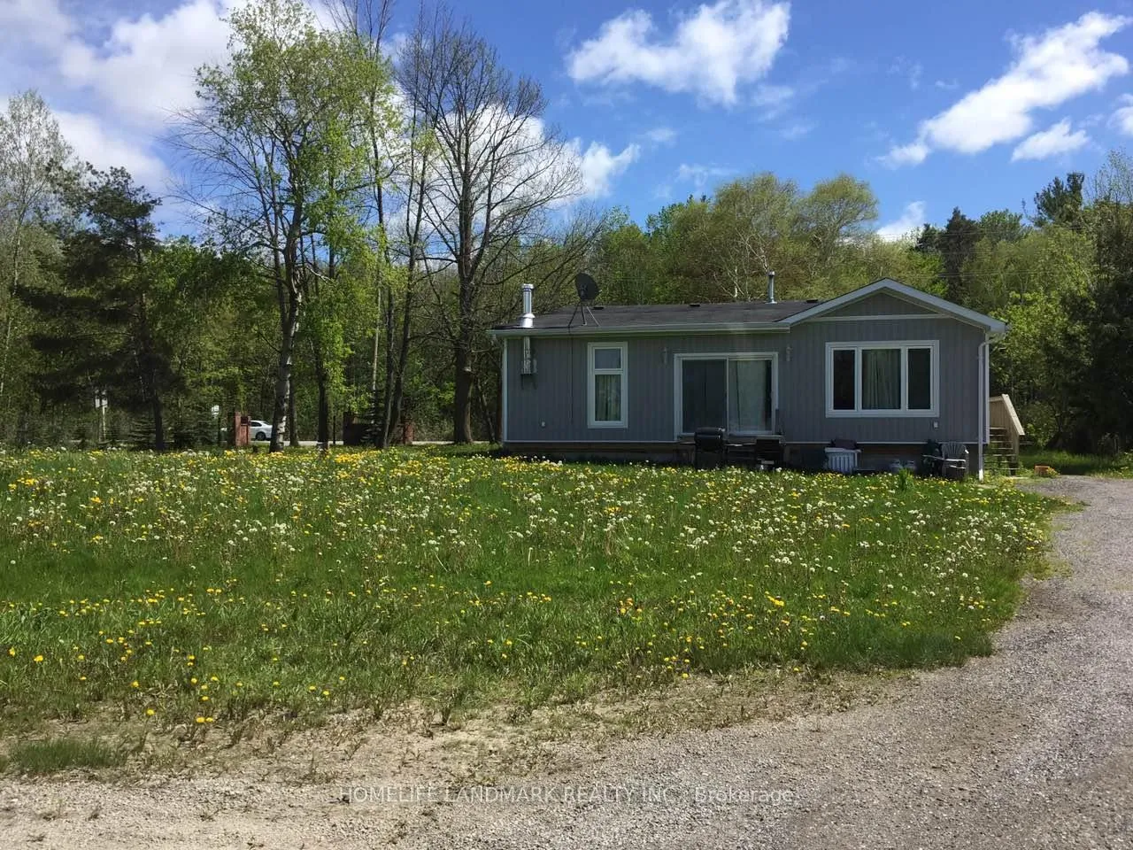 Photo 4 of 3358 Ravenshoe Road, Georgina, Belhaven — HOMEH