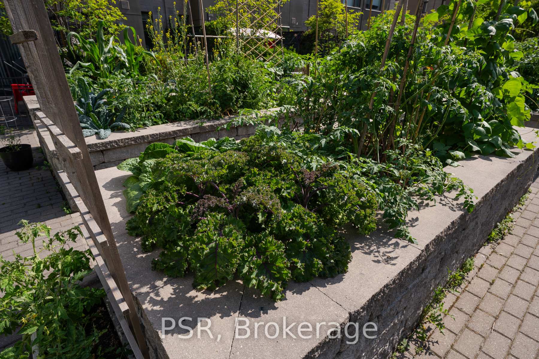 Photo 49 of 11 St Bartholomew Street, Toronto, Regent Park — HOMEH